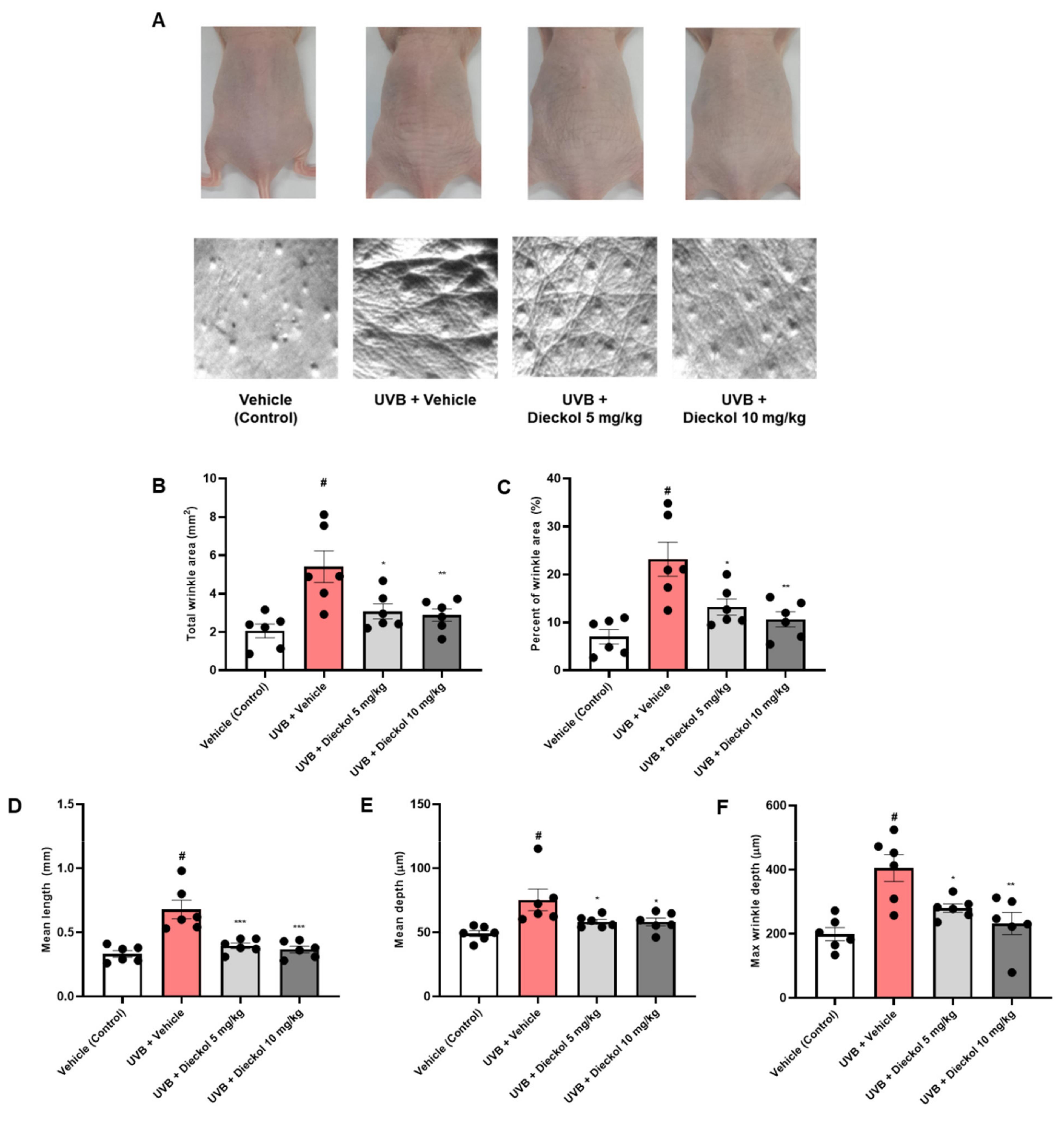 Marinedrugs 20 00779 g001