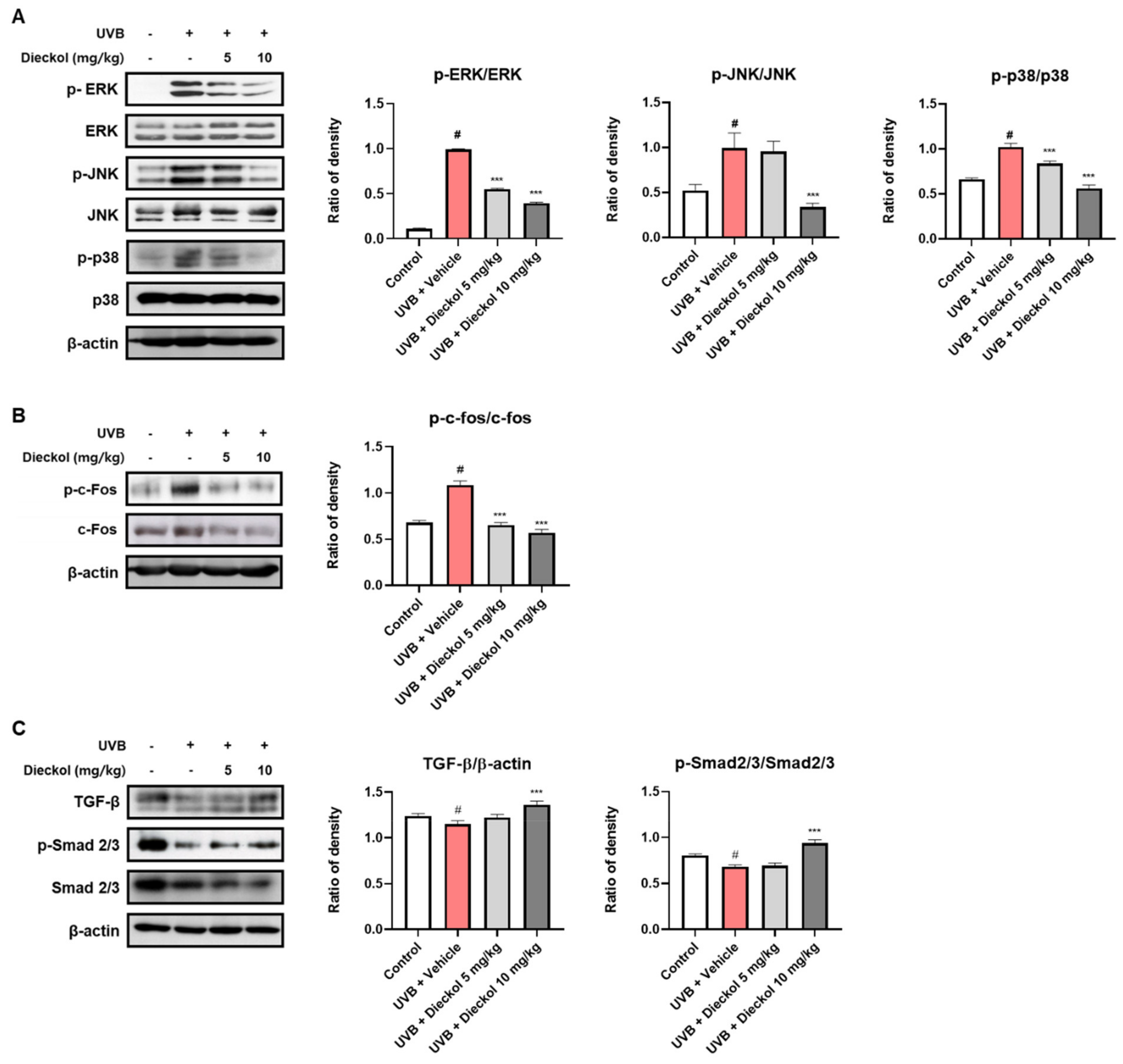 Marinedrugs 20 00779 g004
