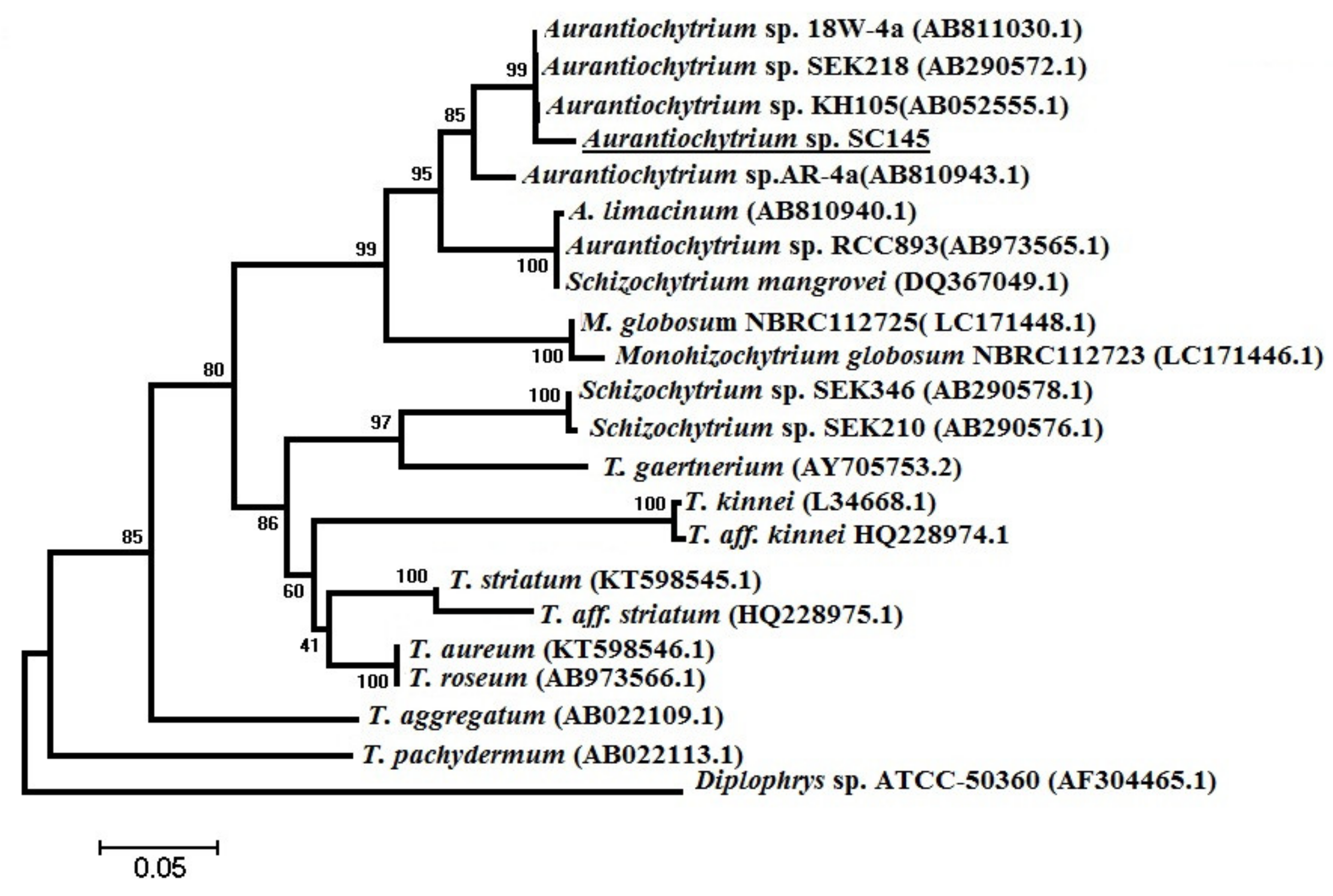 Marinedrugs 20 00780 g002