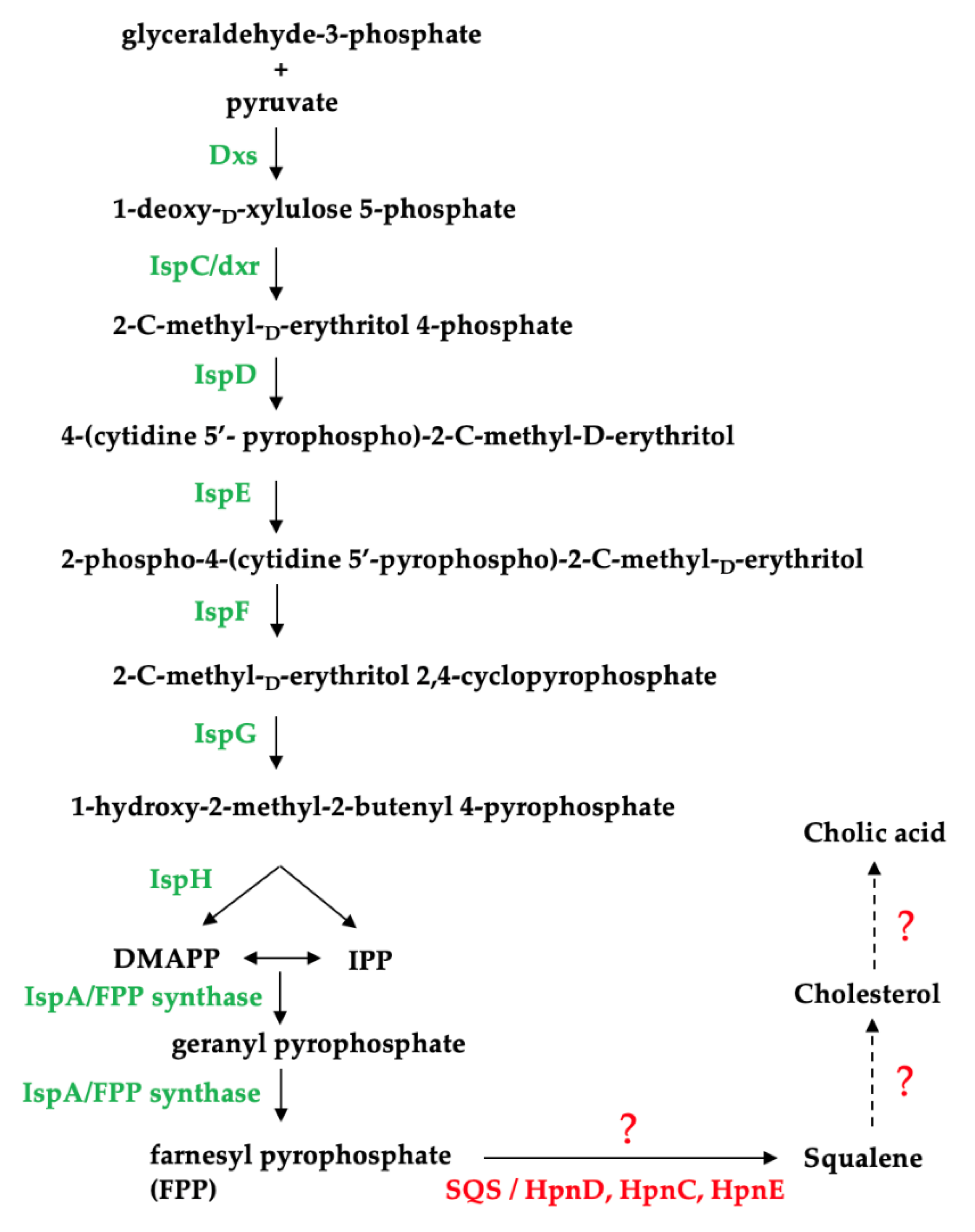 Marinedrugs 21 00002 g004