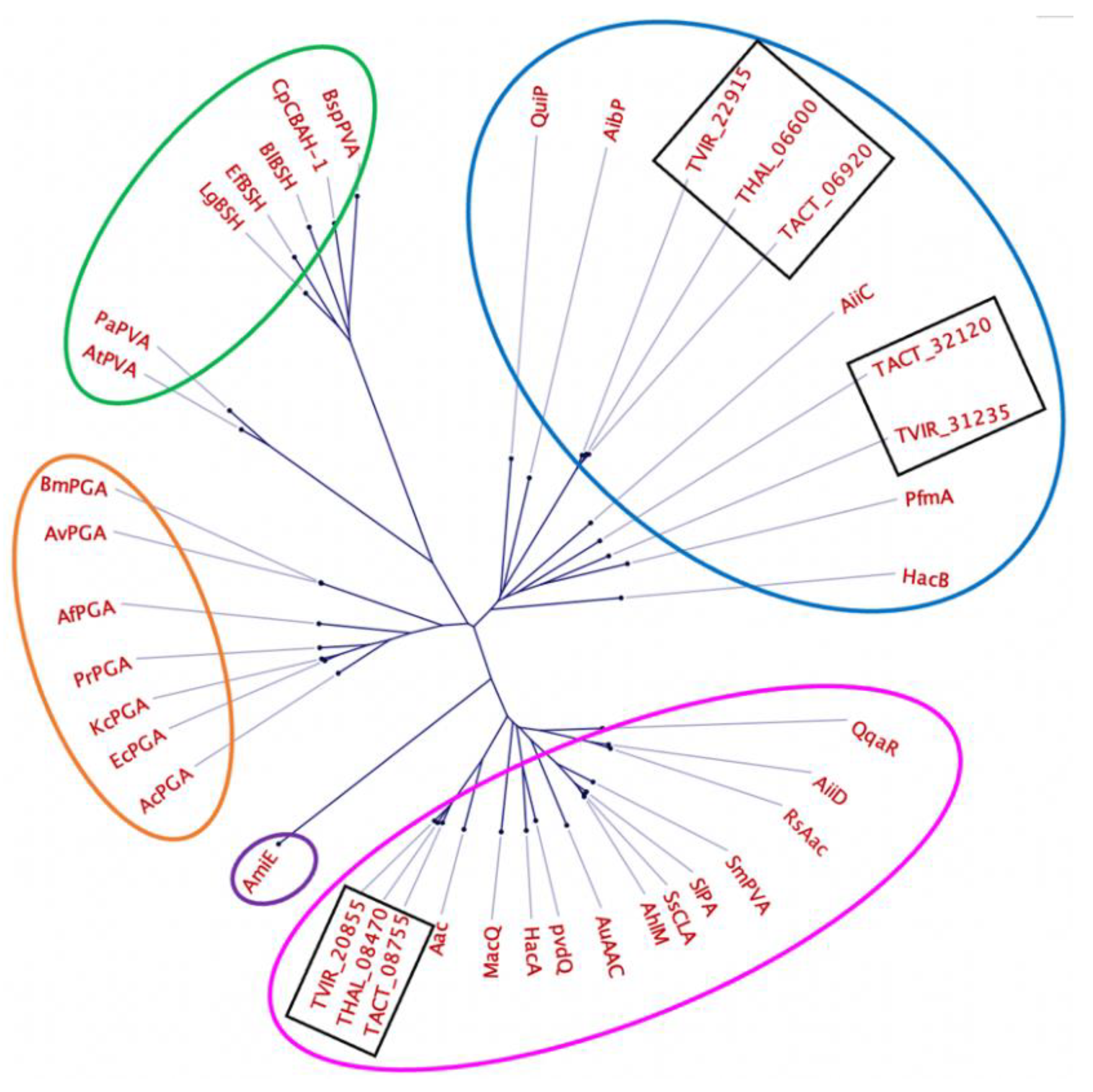 Marinedrugs 21 00002 g005