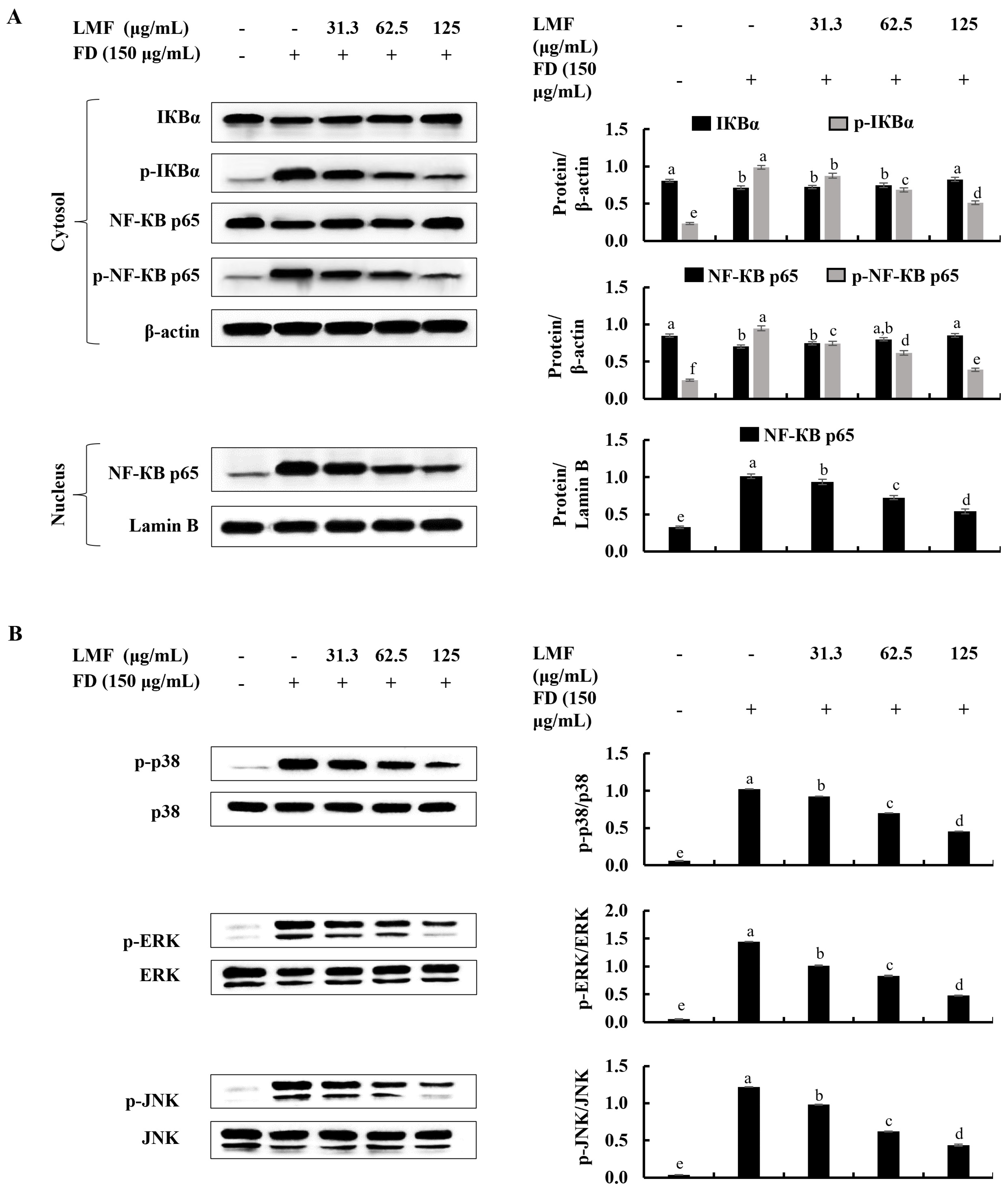 Marinedrugs 21 00012 g003