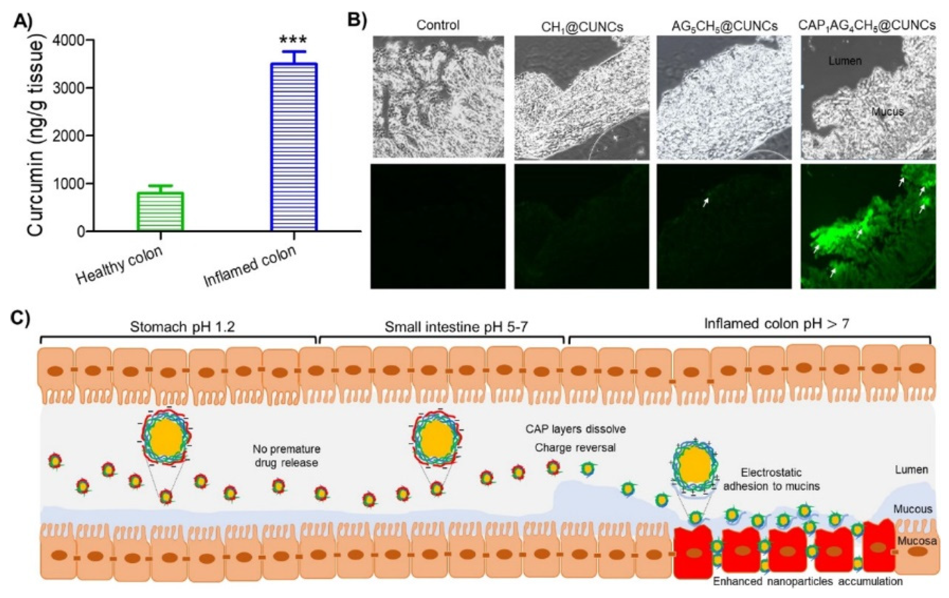 Marinedrugs 21 00014 g001