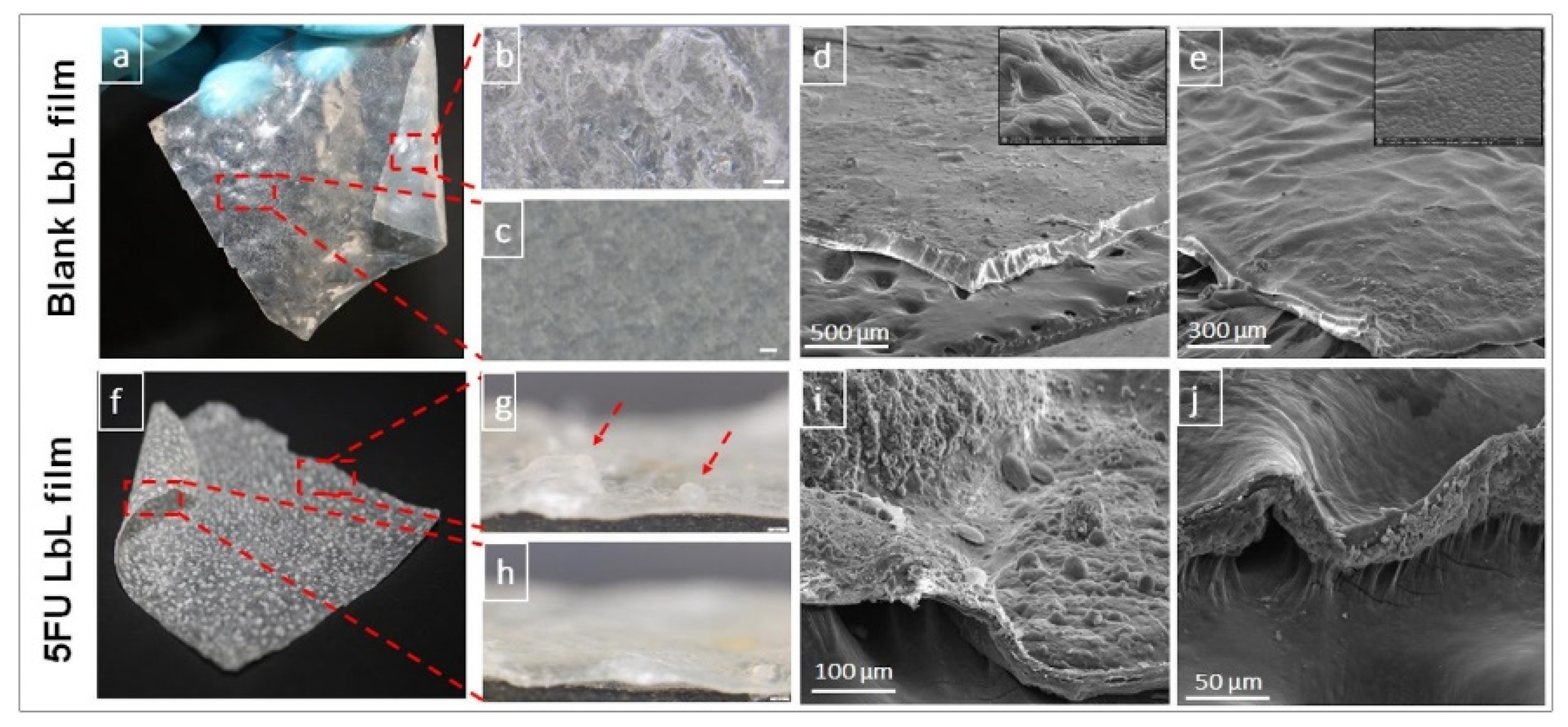 Marinedrugs 21 00014 g002