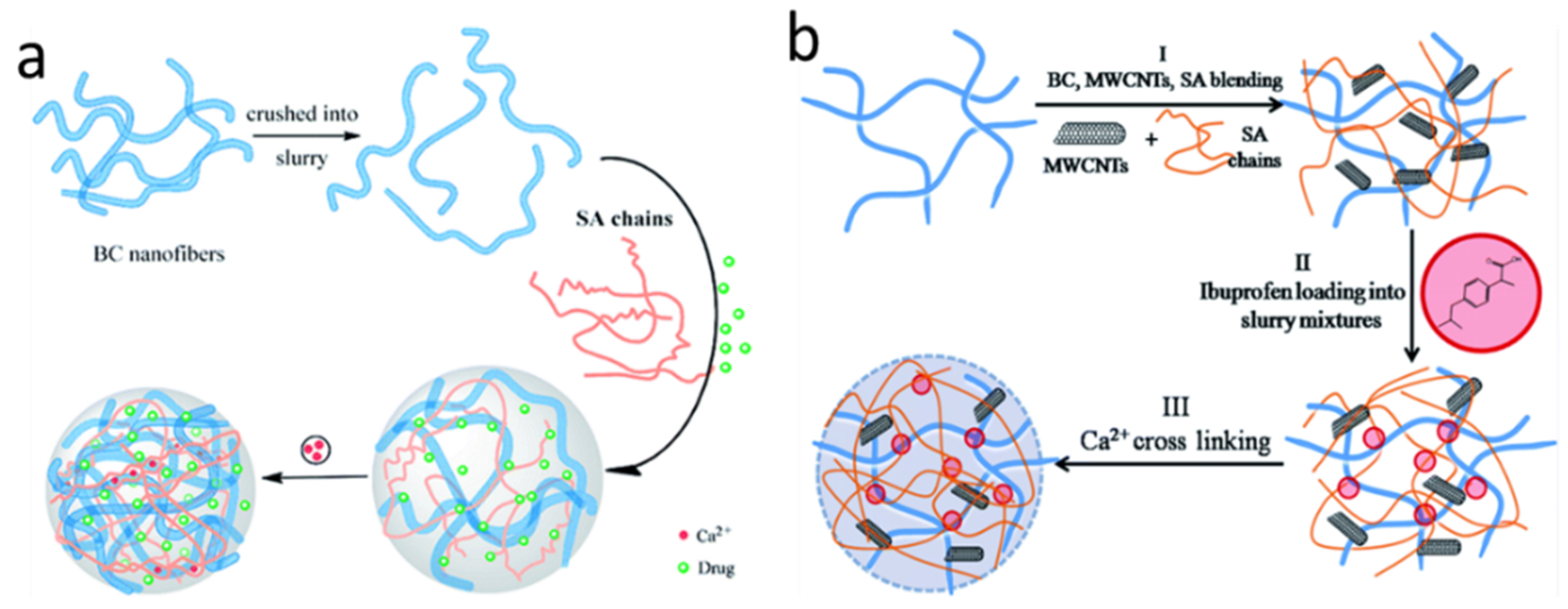 Marinedrugs 21 00014 g003