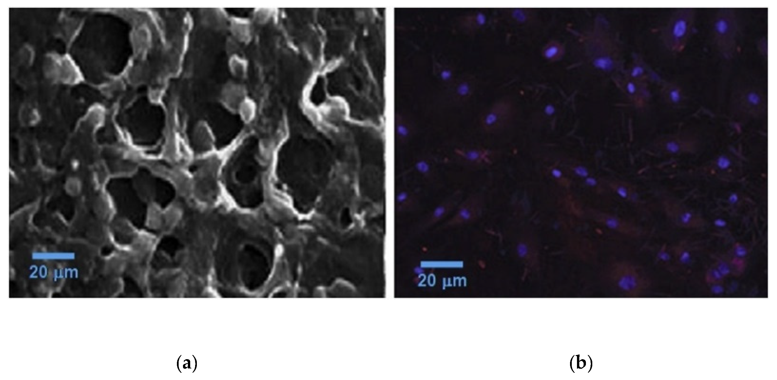 Marinedrugs 21 00014 g004