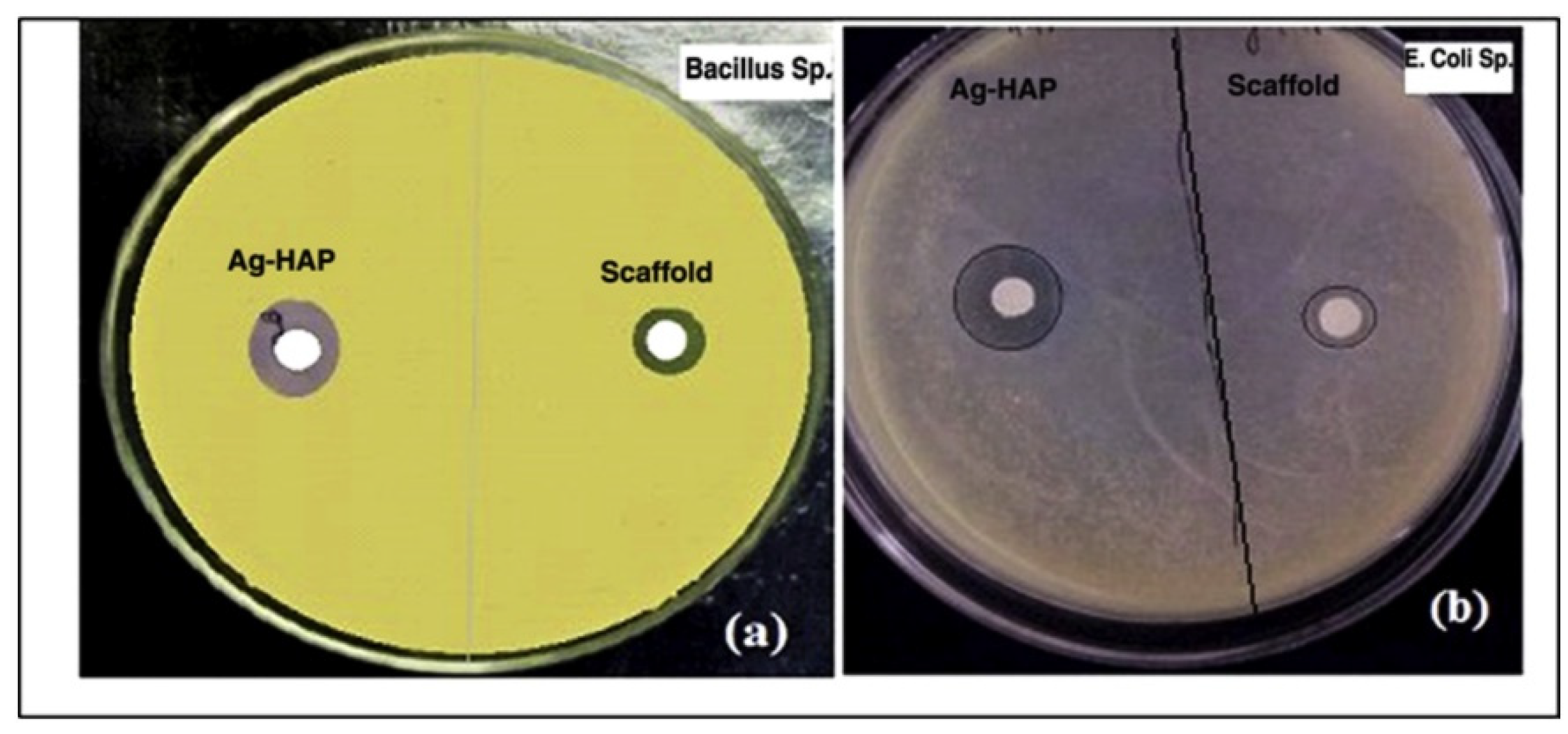 Marinedrugs 21 00014 g005