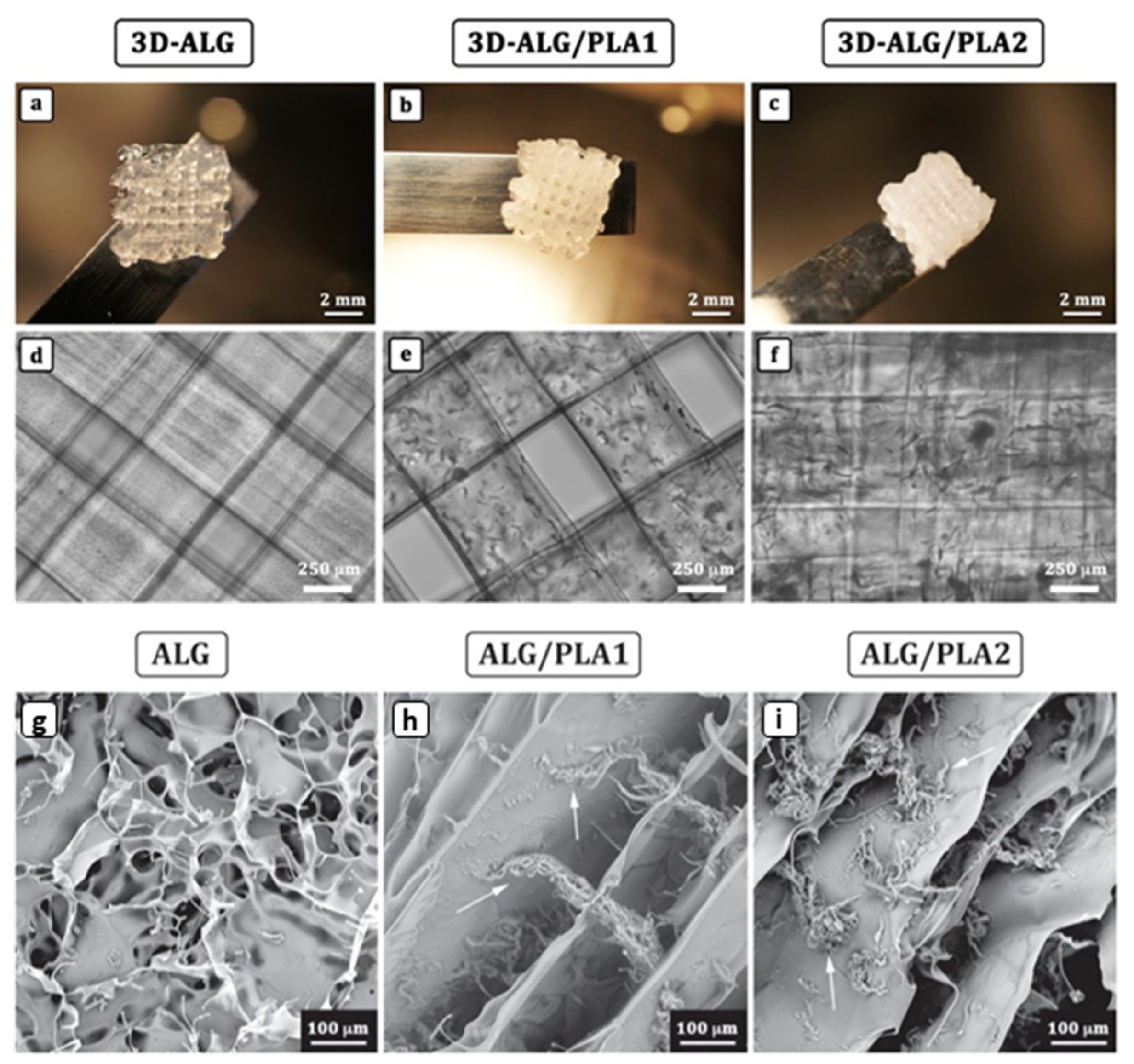 Marinedrugs 21 00014 g006