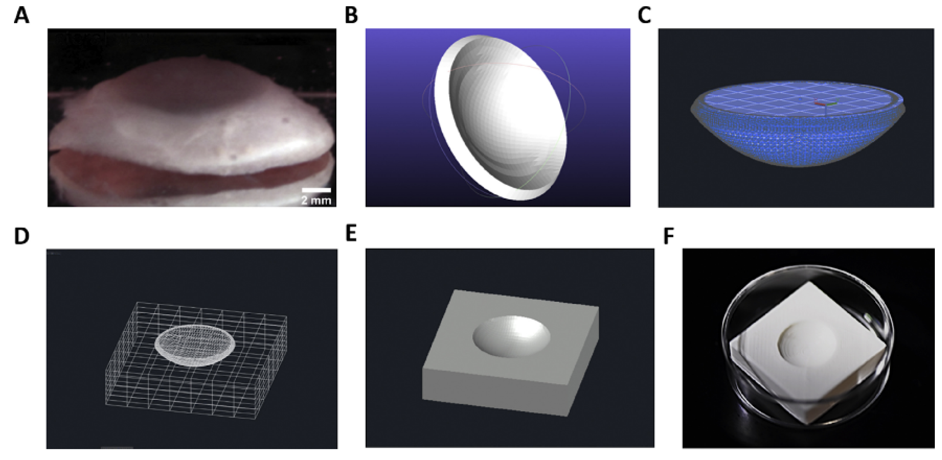 Marinedrugs 21 00014 g007