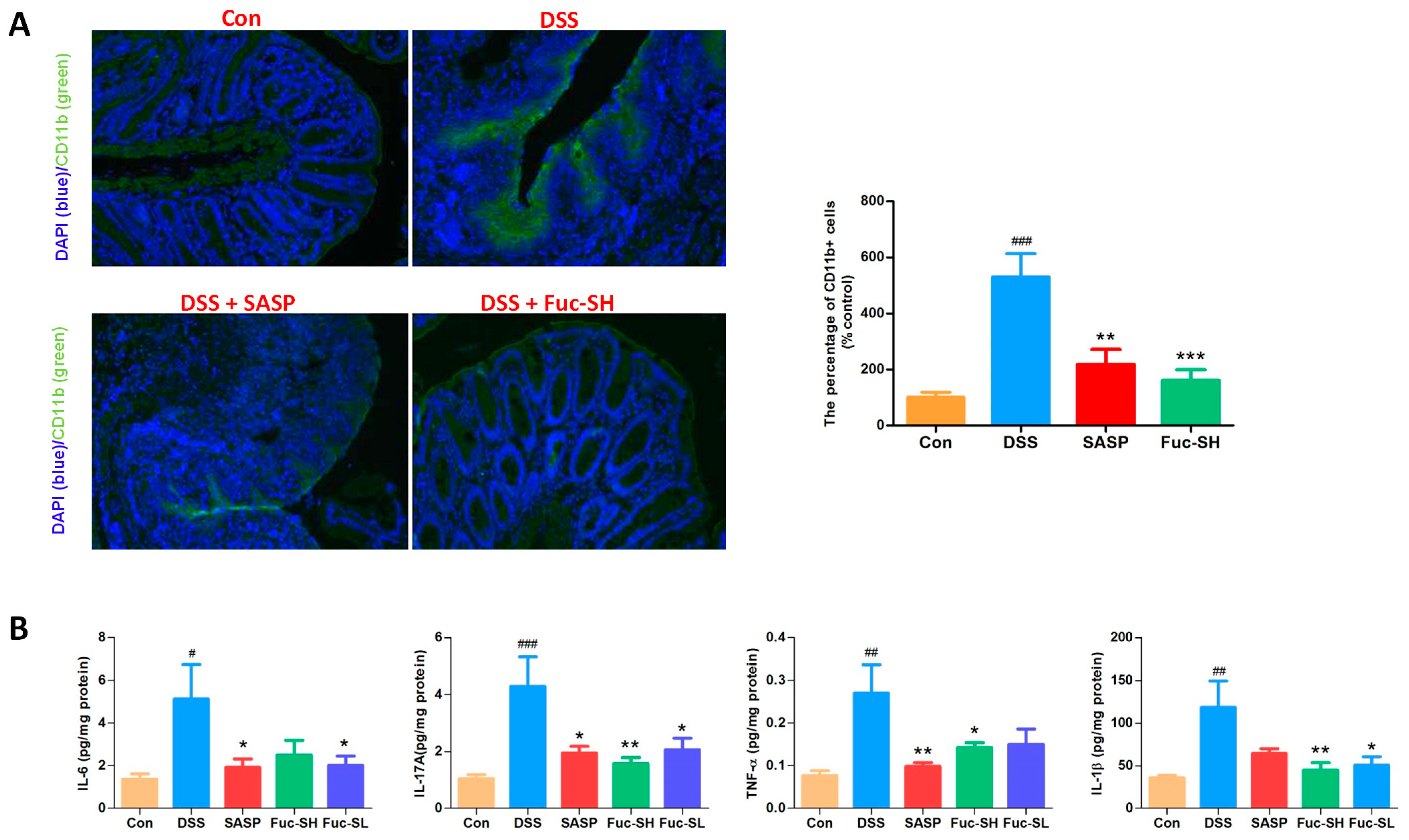 Marinedrugs 21 00016 g004