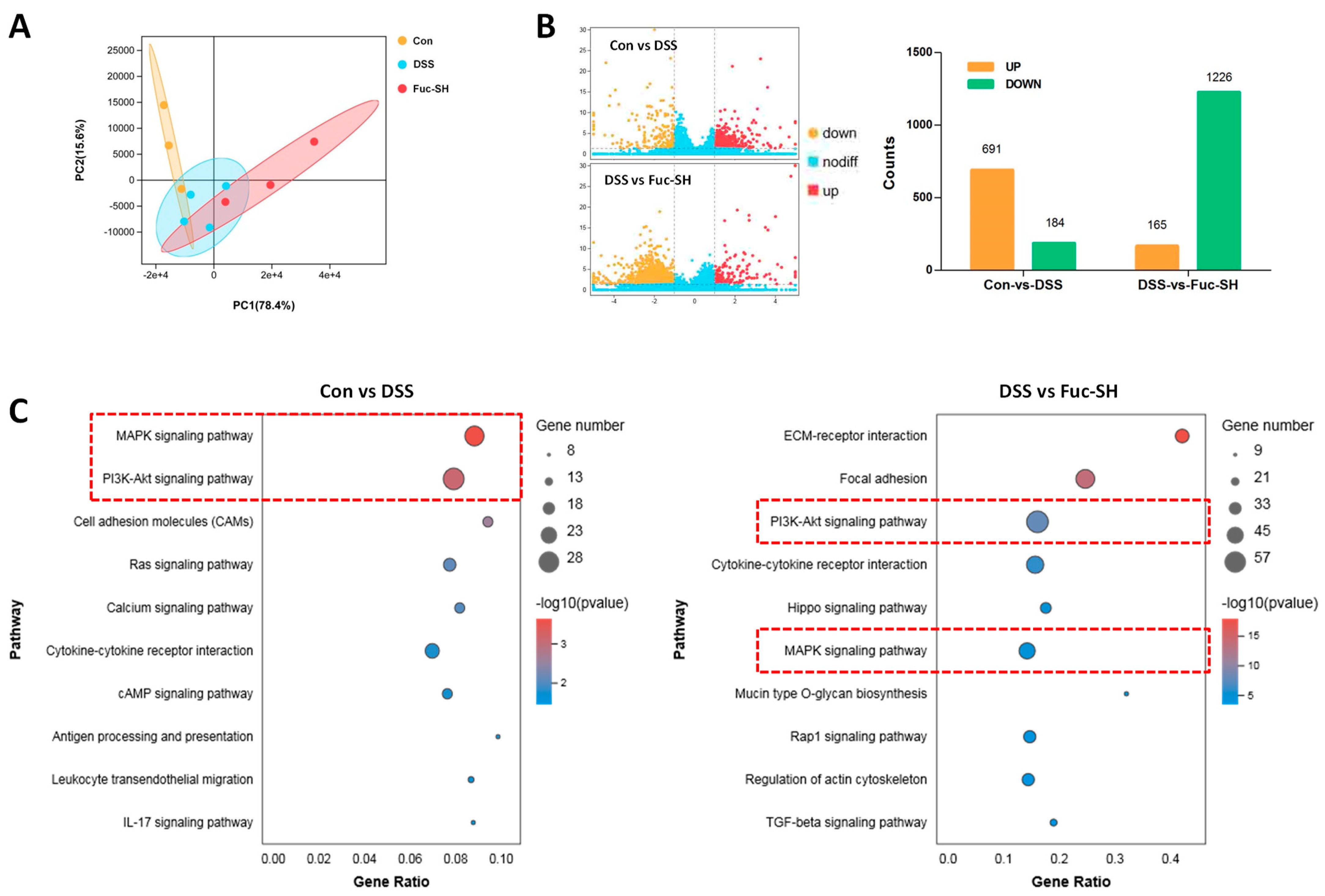 Marinedrugs 21 00016 g005