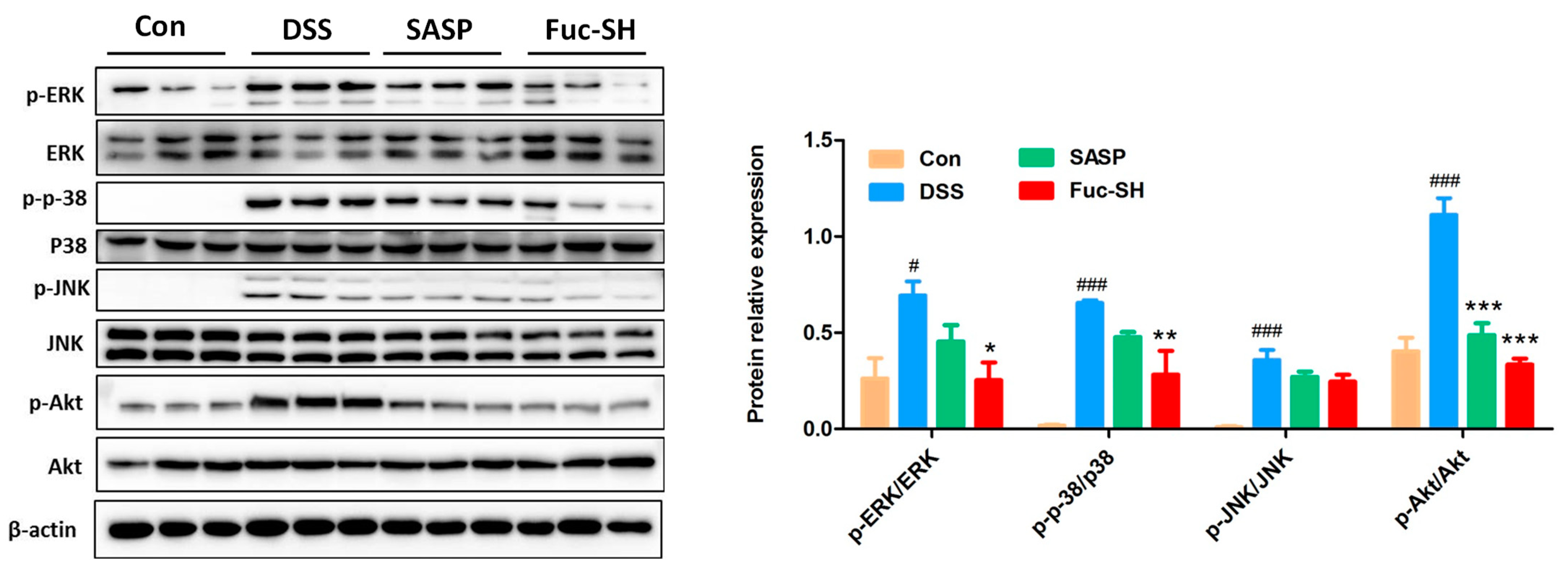 Marinedrugs 21 00016 g006