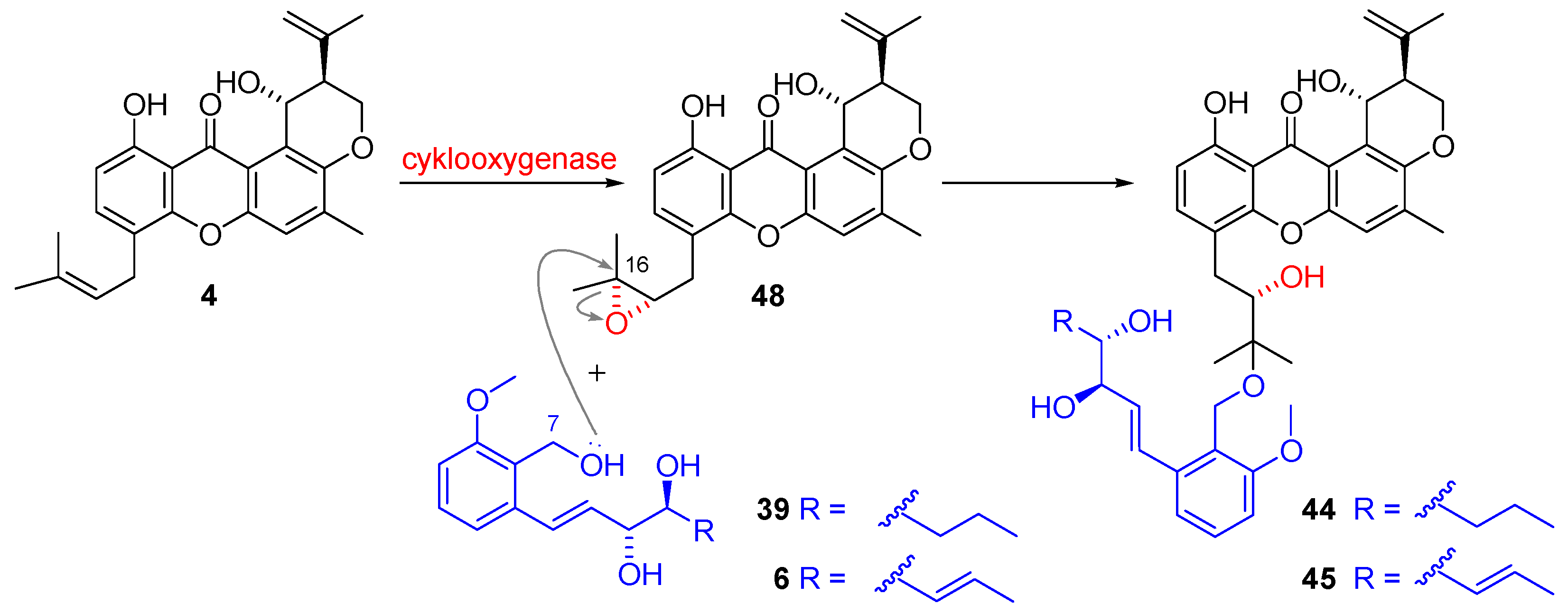 Marinedrugs 21 00019 sch008