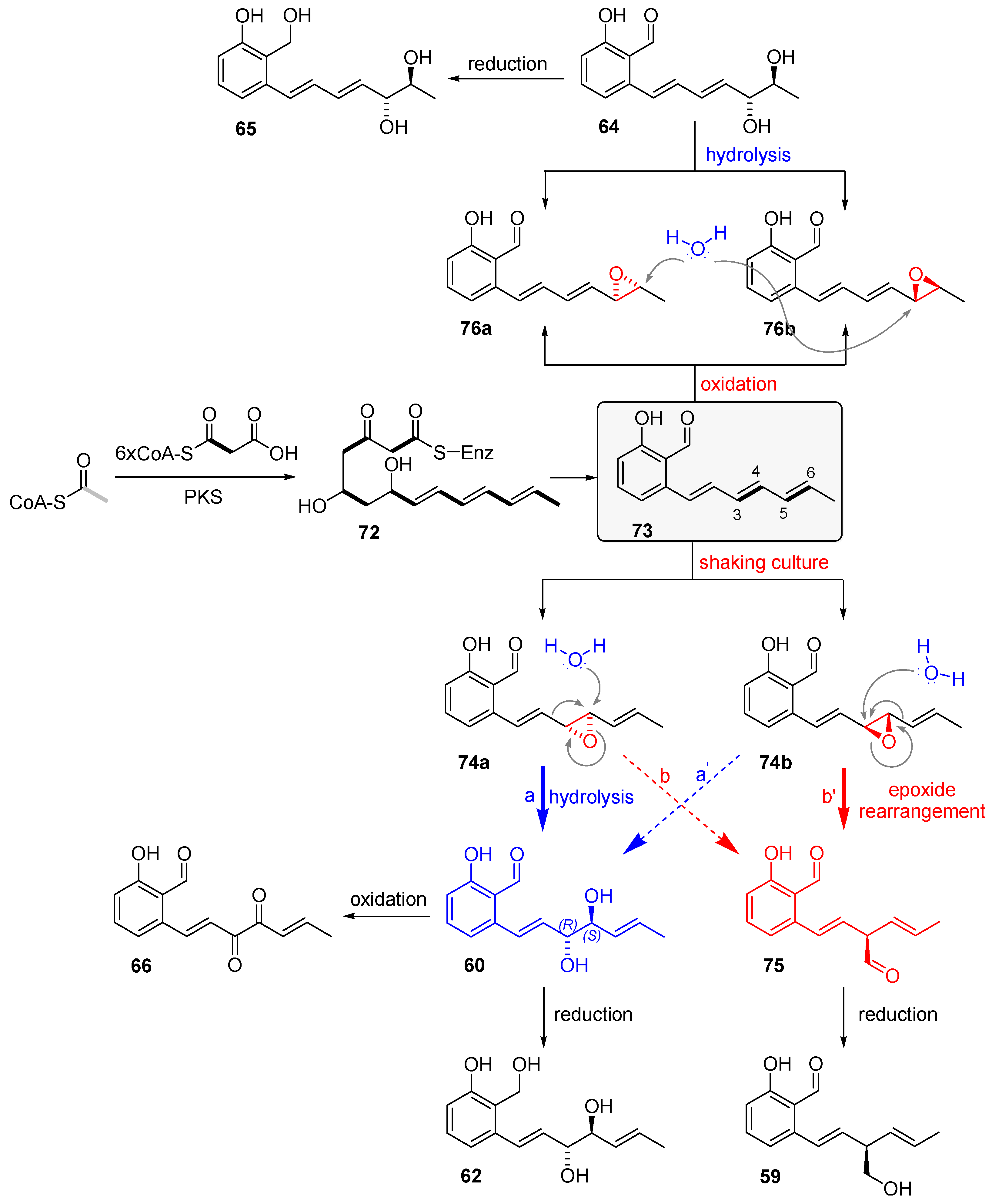 Marinedrugs 21 00019 sch010
