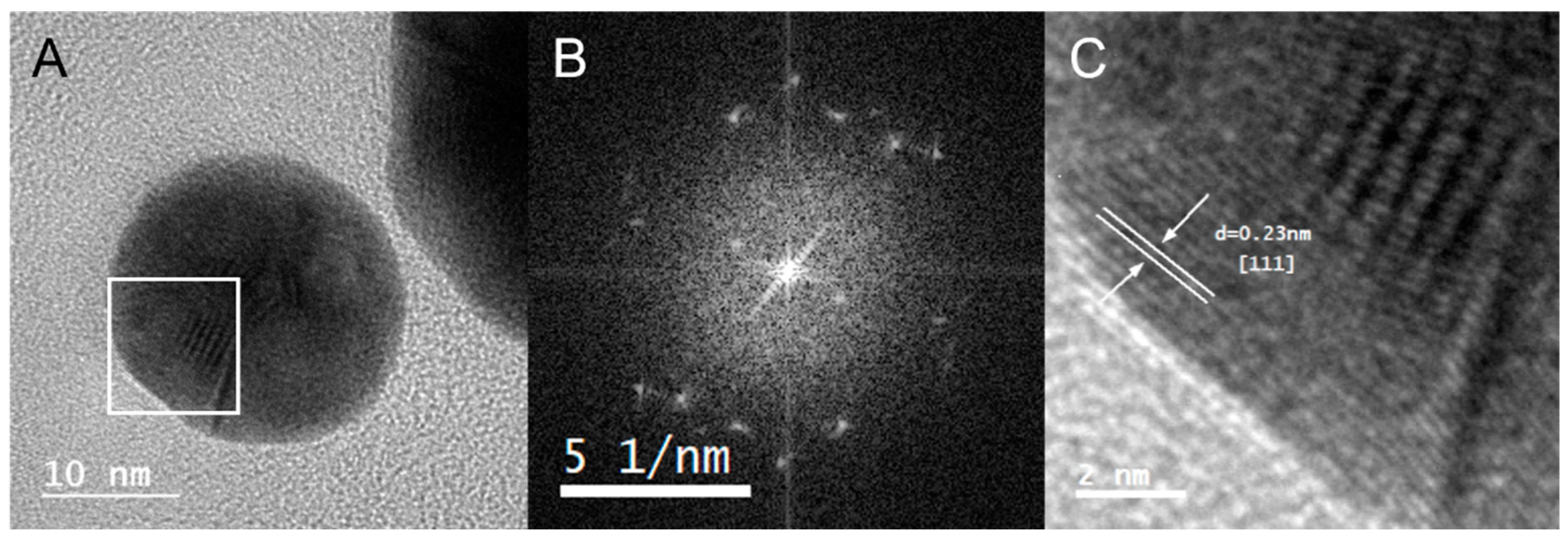 Marinedrugs 21 00020 g005 Marinedrugs 21 00020 g005