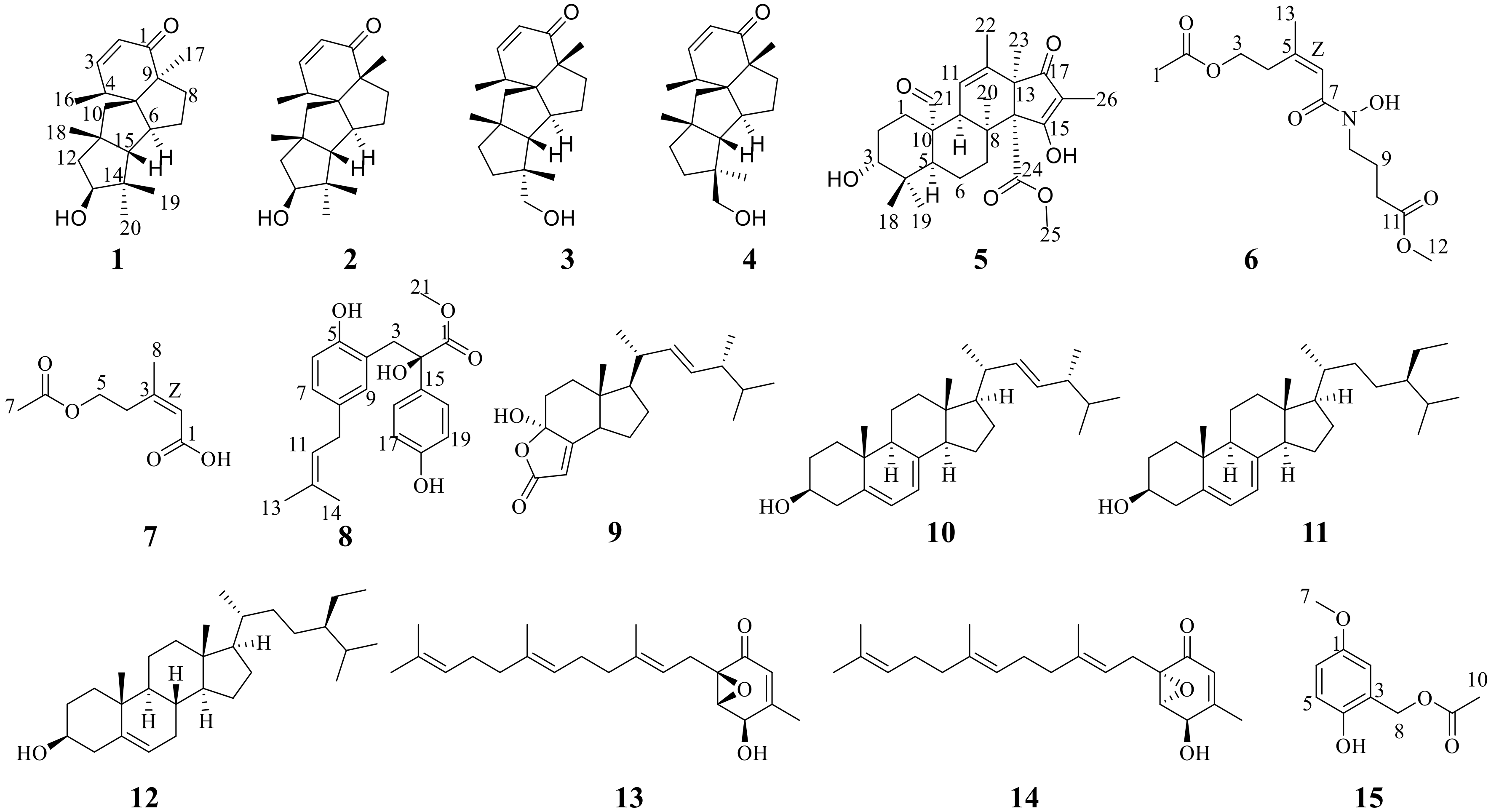 Marinedrugs 21 00022 g001