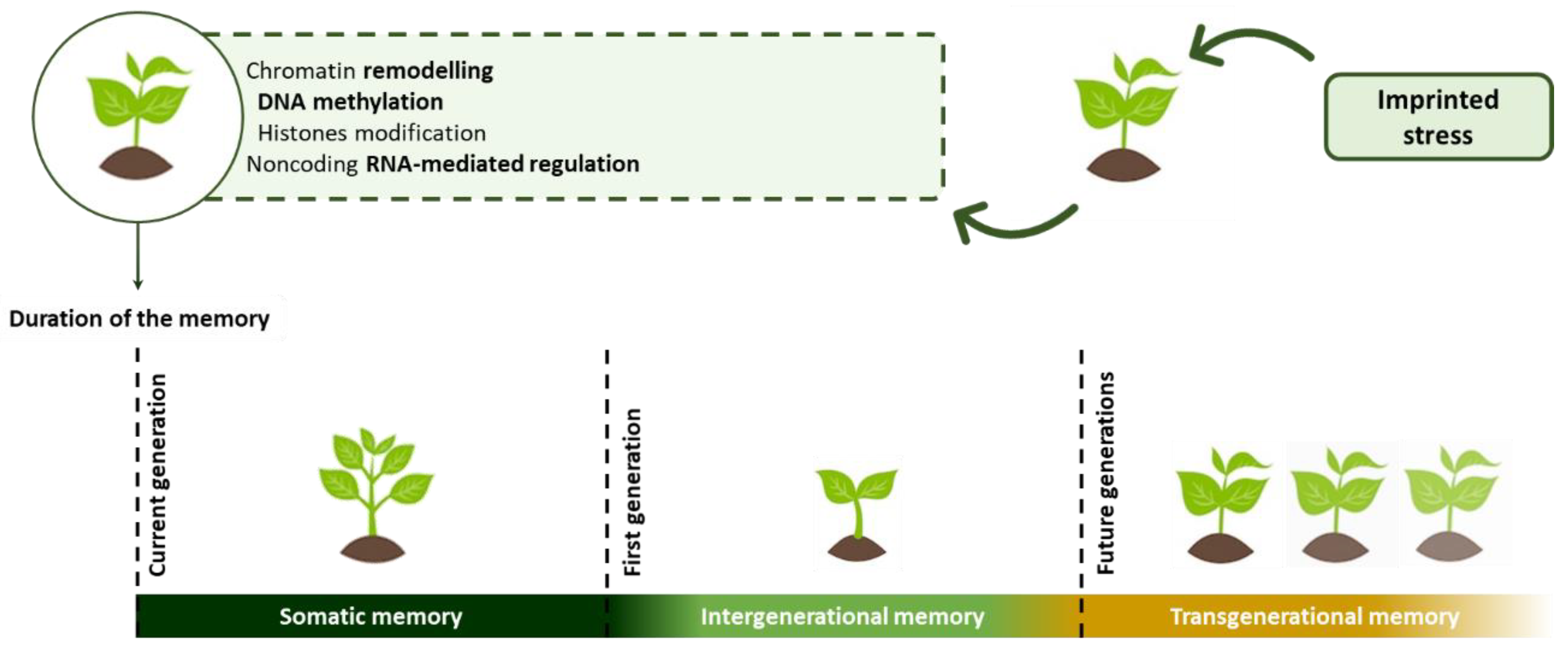 Marinedrugs 21 00023 g002 Marinedrugs 21 00023 g002