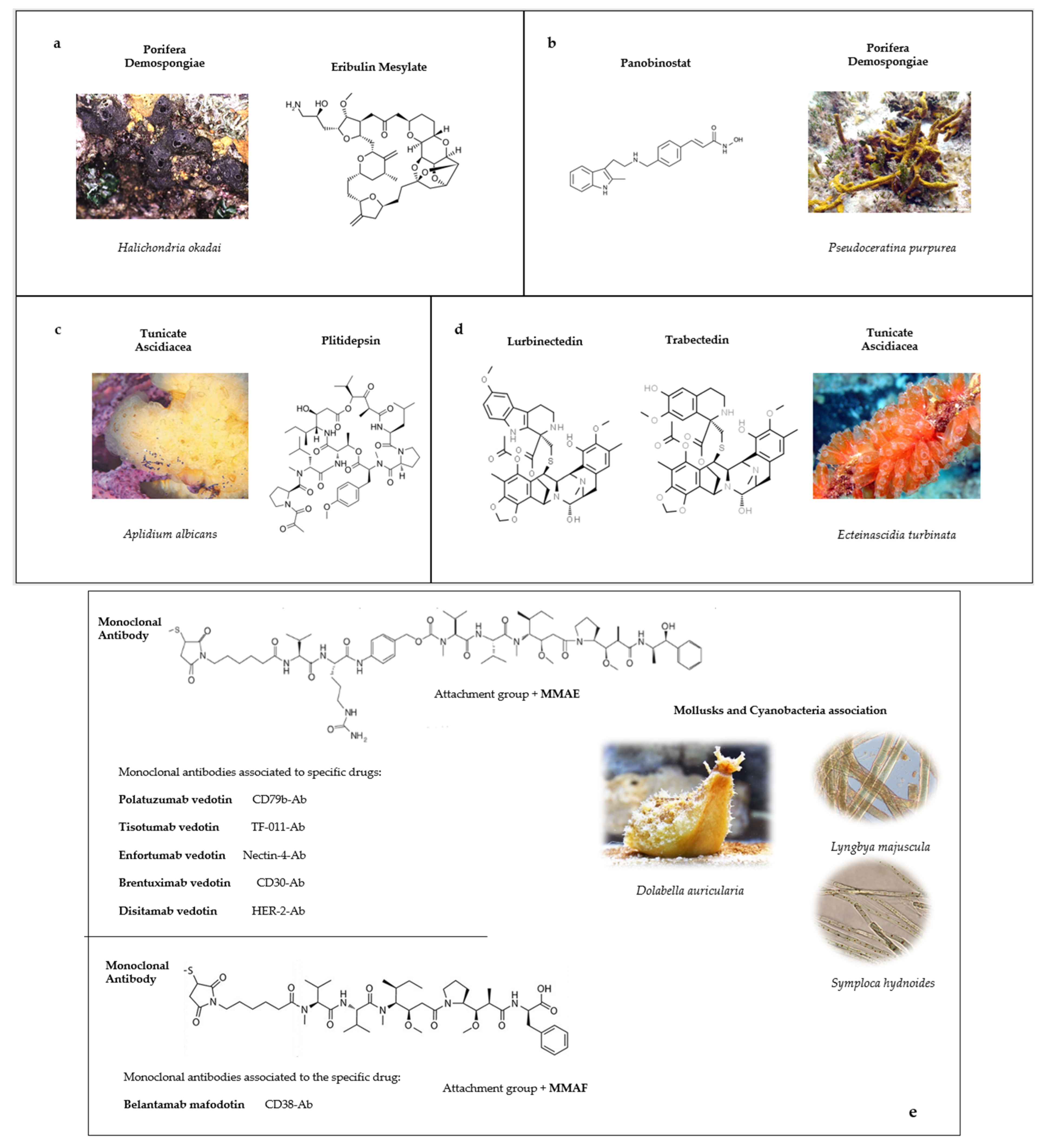 Marinedrugs 21 00024 g001