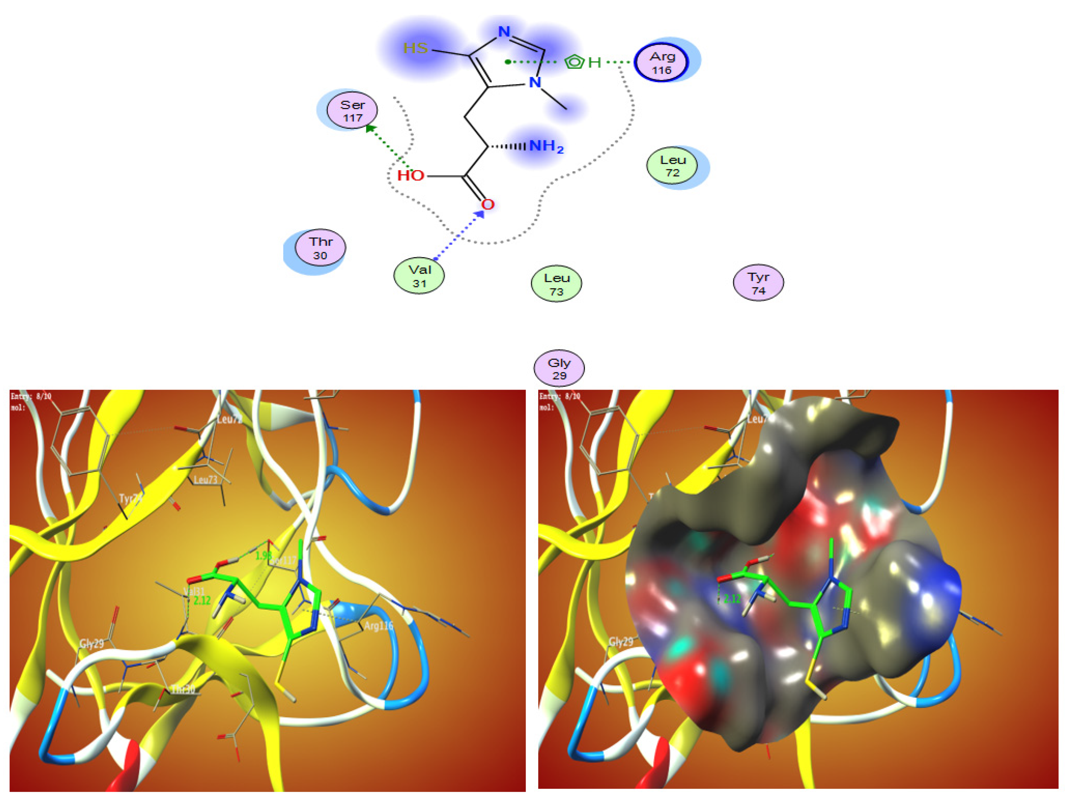 Marinedrugs 21 00025 g003