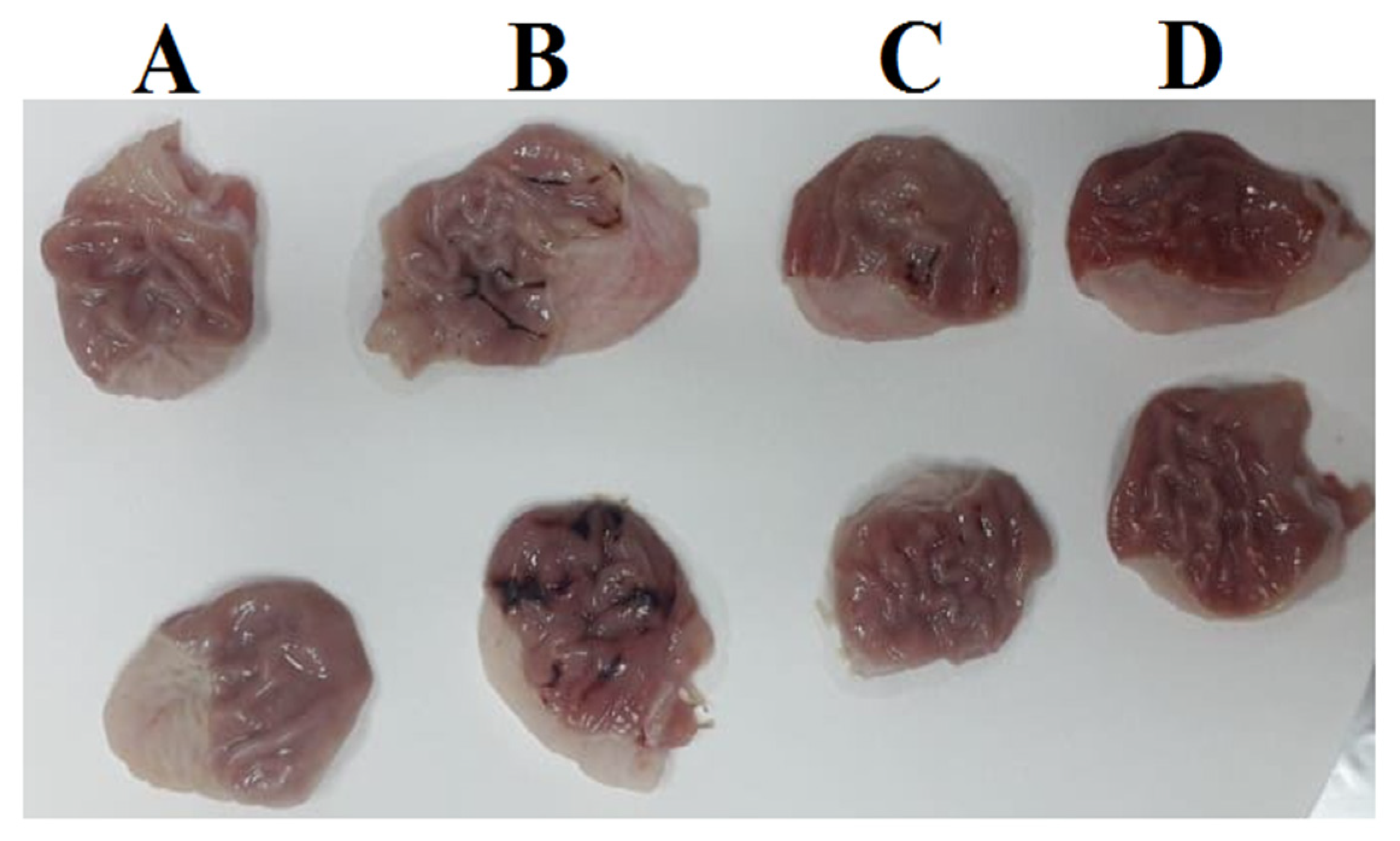 Marinedrugs 21 00025 g004