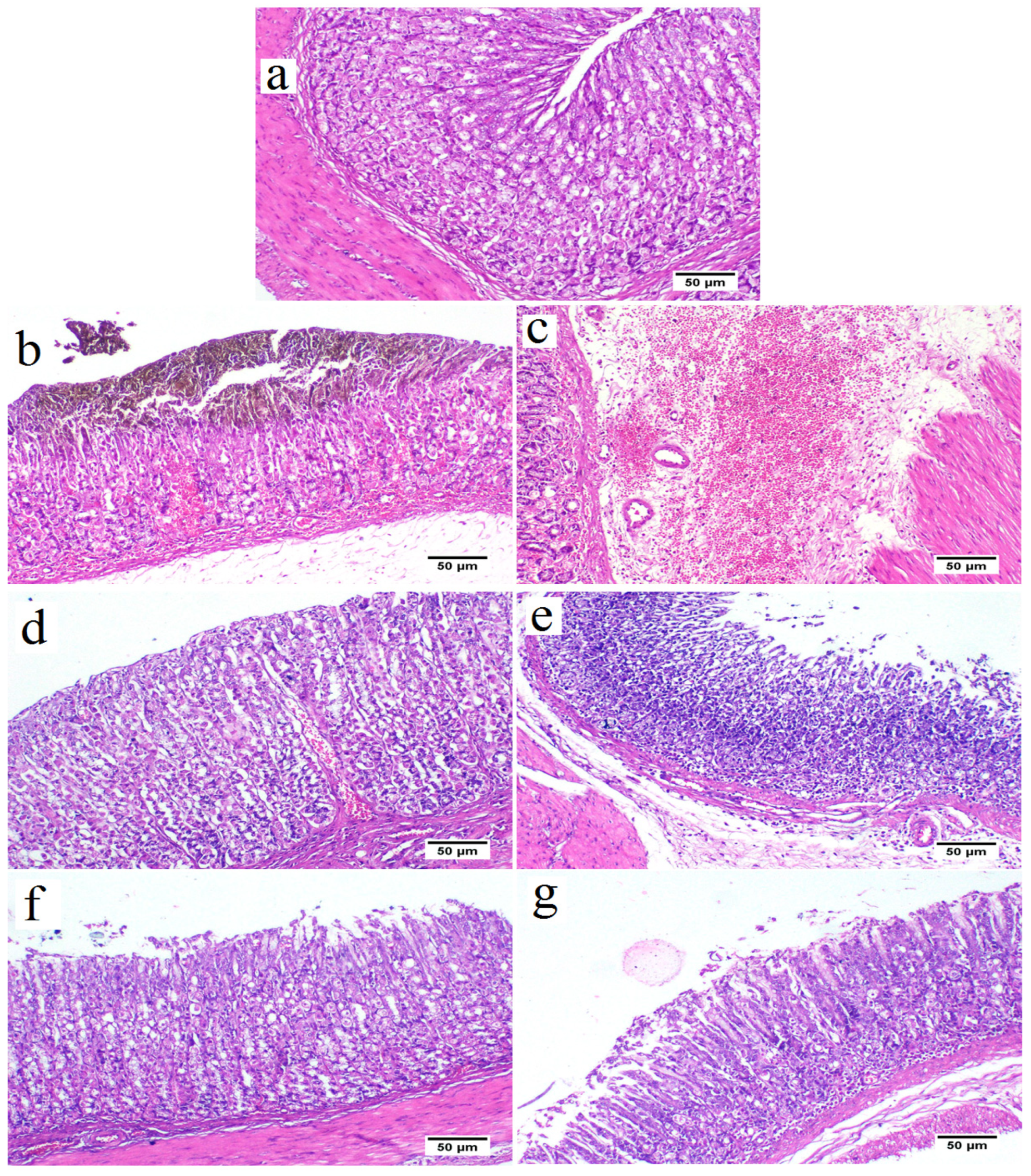 Marinedrugs 21 00025 g005