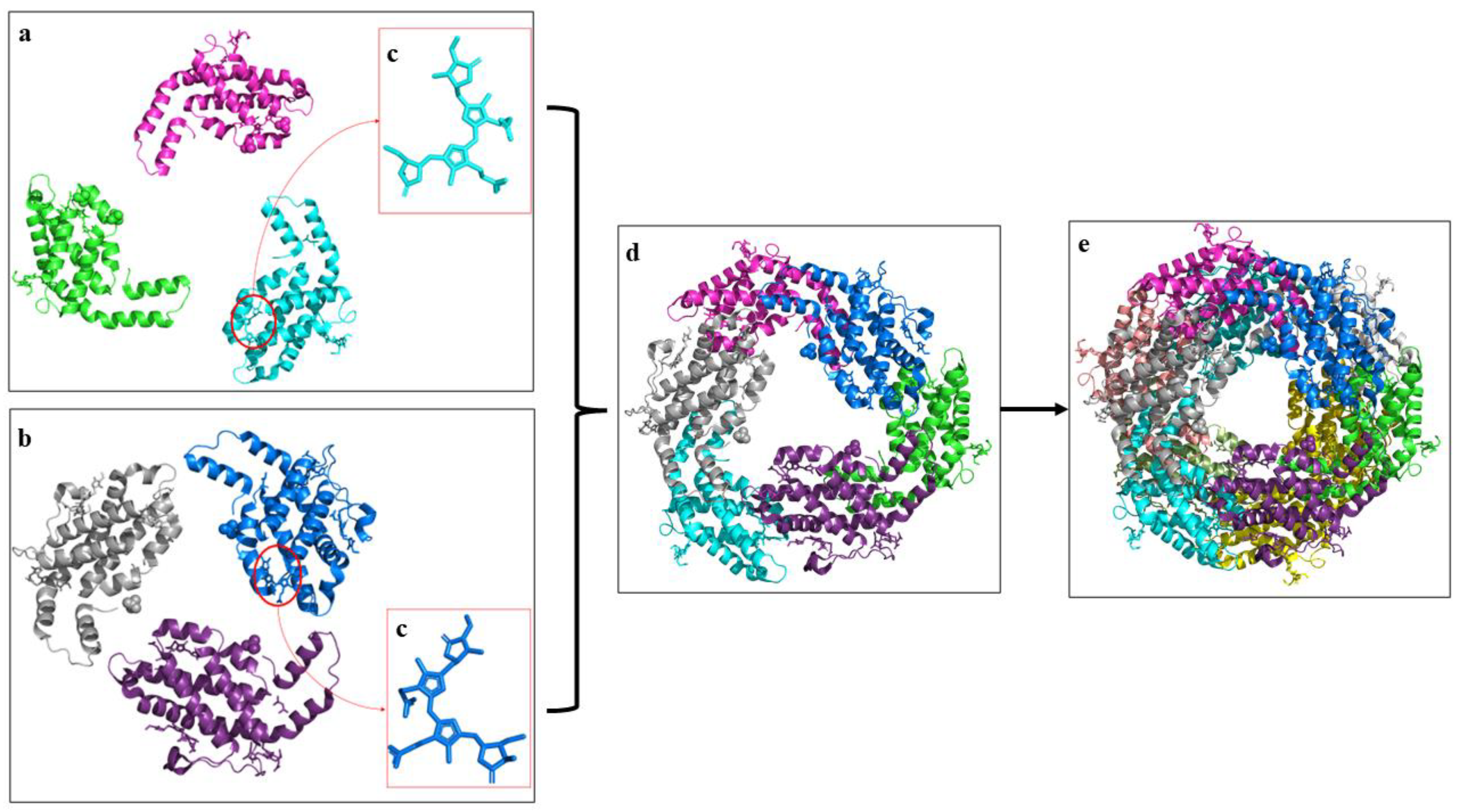Marinedrugs 21 00028 g001