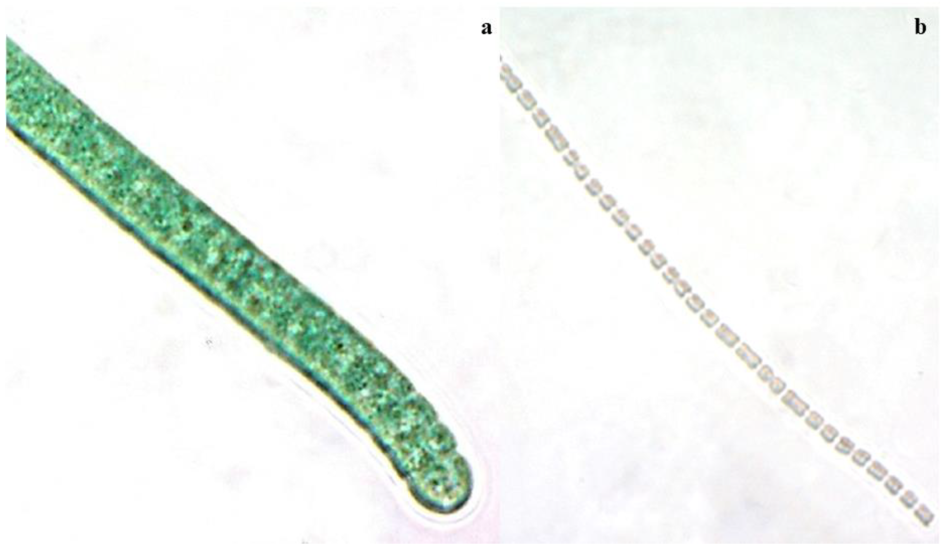 Marinedrugs 21 00028 g003