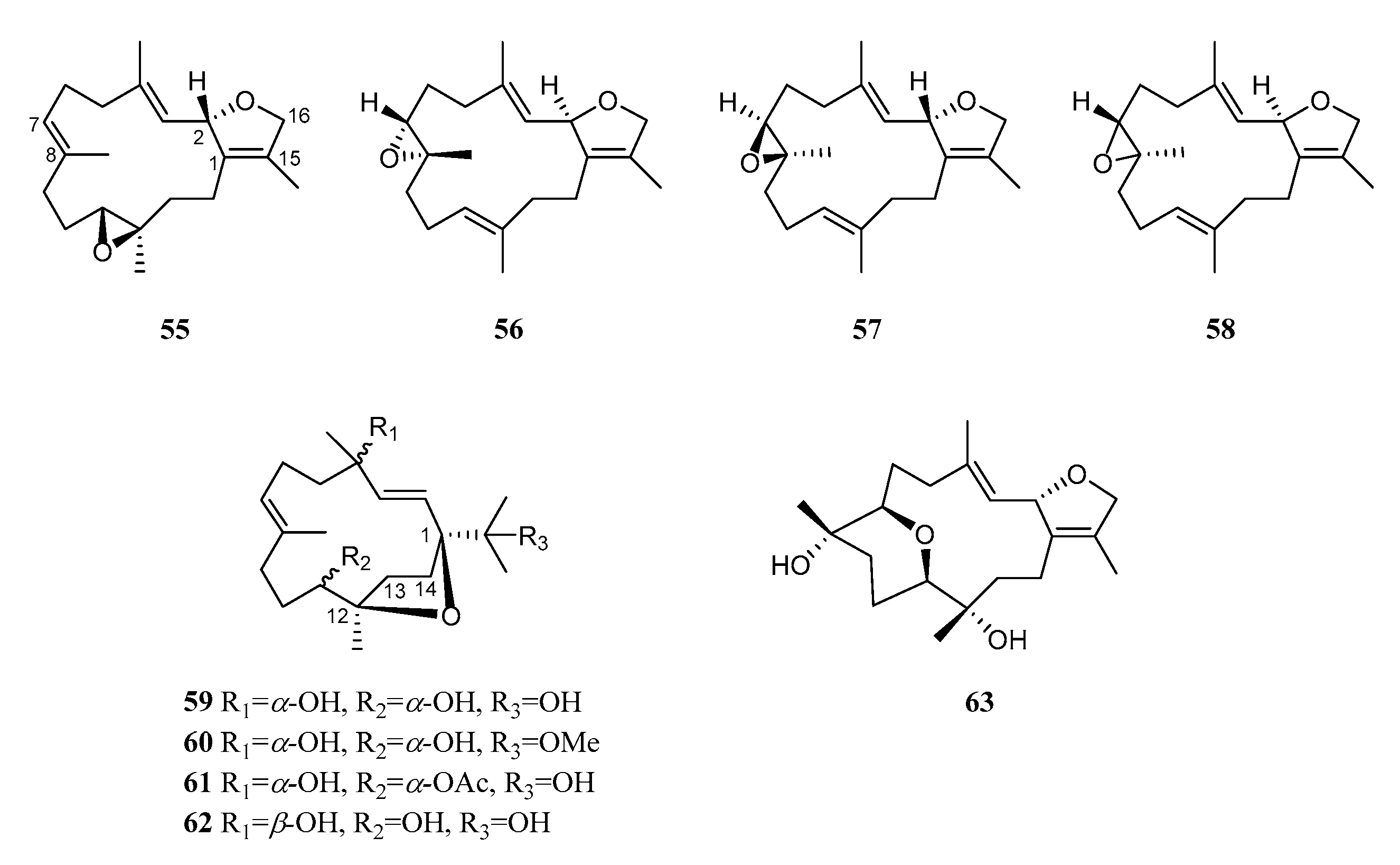 Marinedrugs 21 00030 g006