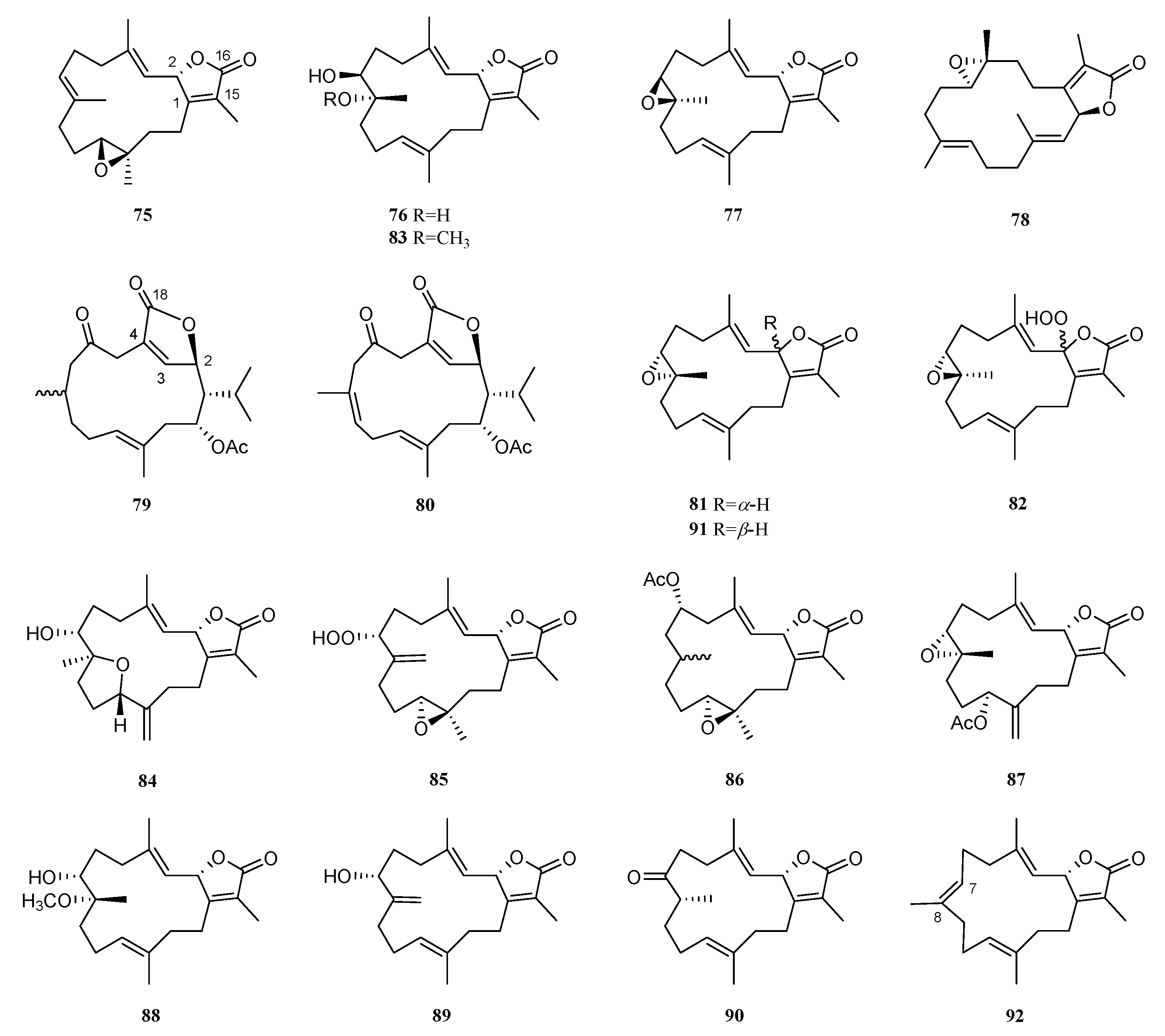 Marinedrugs 21 00030 g008