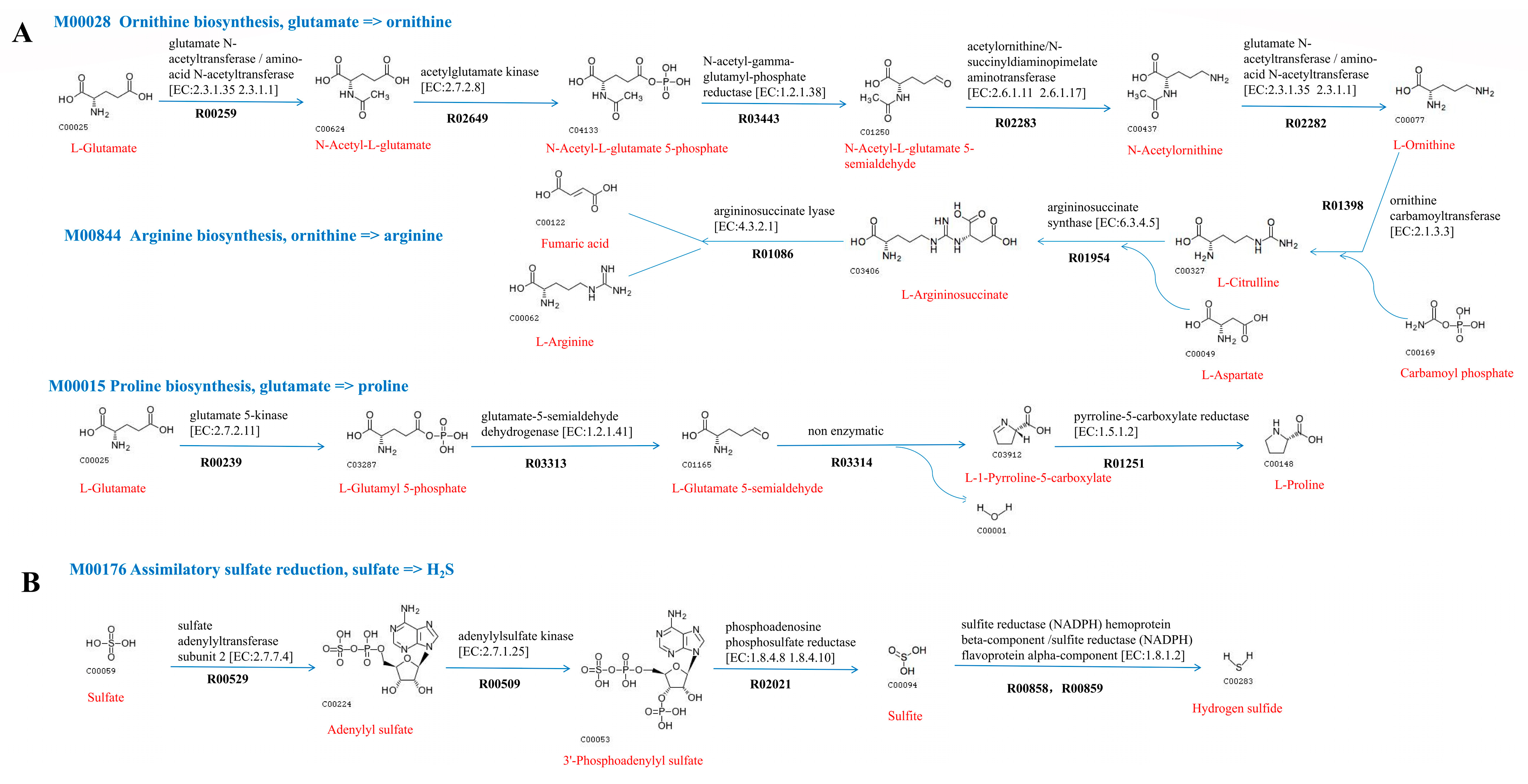 Marinedrugs 21 00031 g005