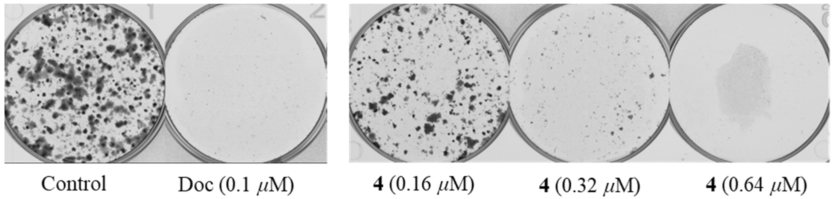 Marinedrugs 21 00032 g004