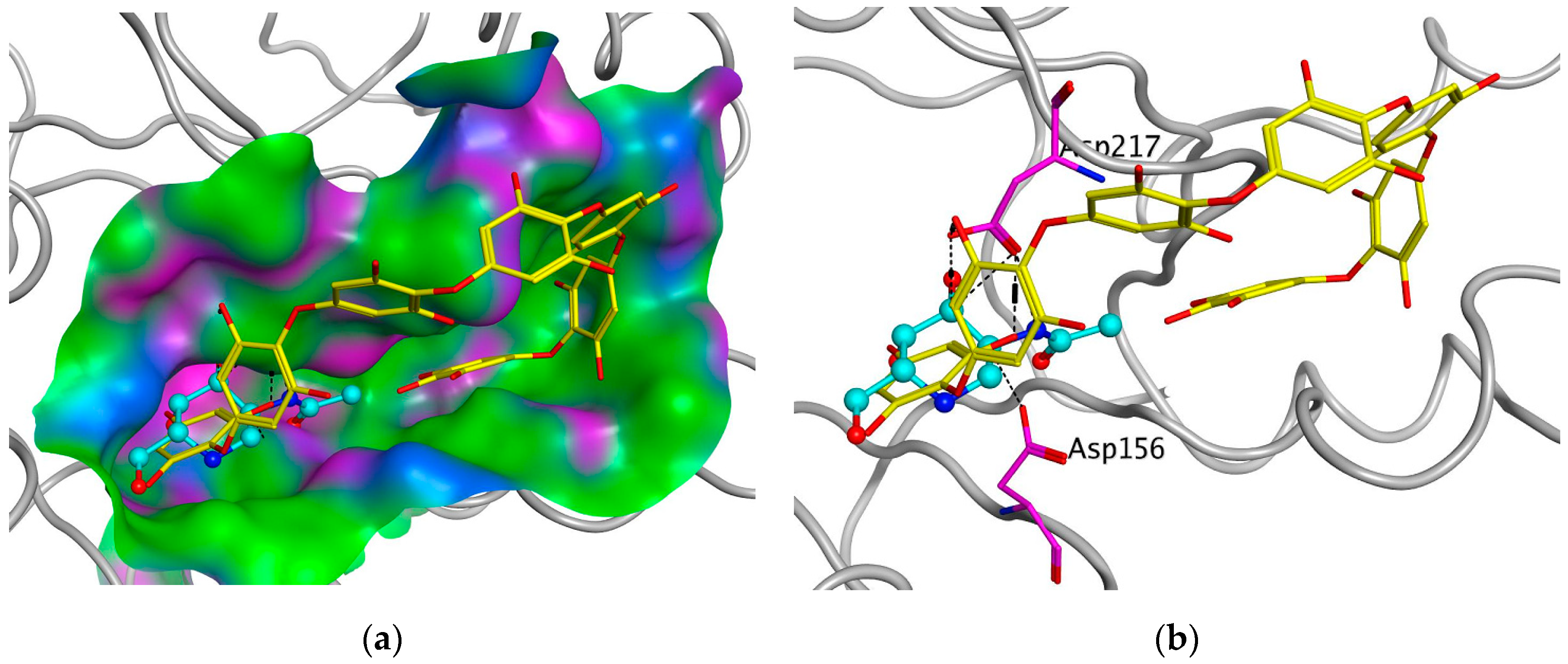 Marinedrugs 21 00033 g007