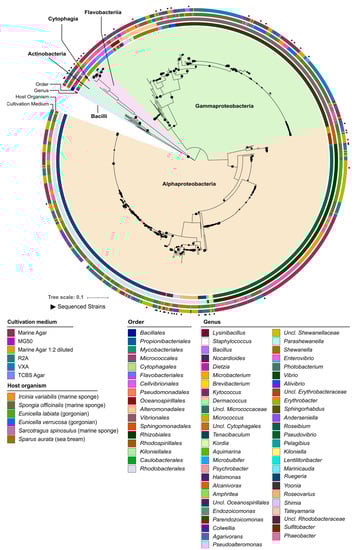 Marinedrugs 21 00034 g001
