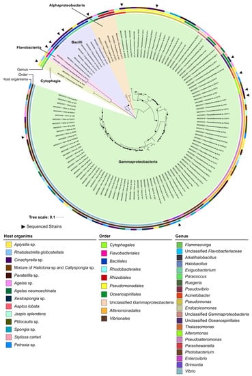 Marinedrugs 21 00034 g002
