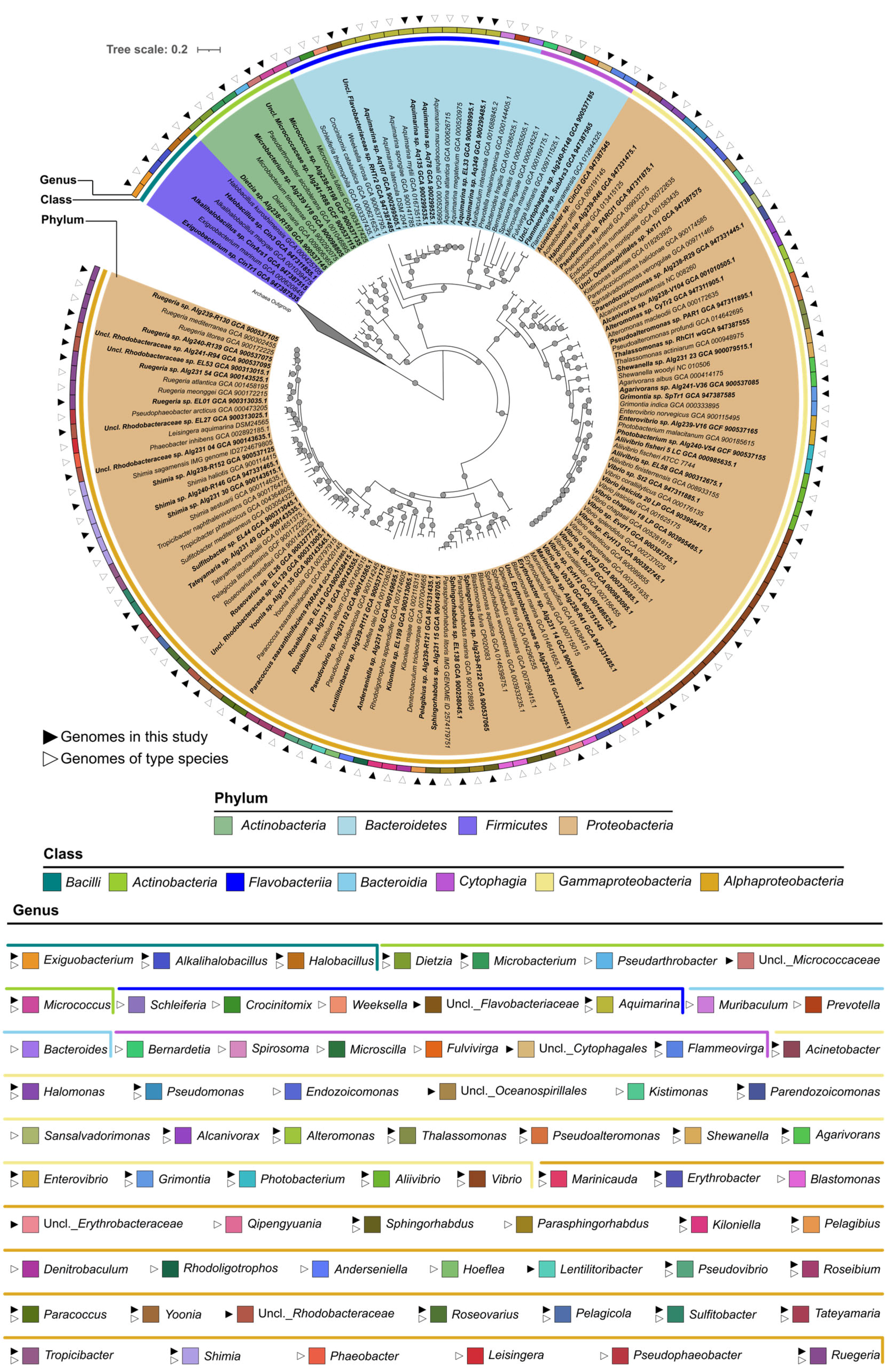 Marinedrugs 21 00034 g003