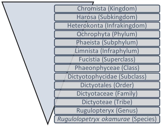 Marinedrugs 21 00040 g001