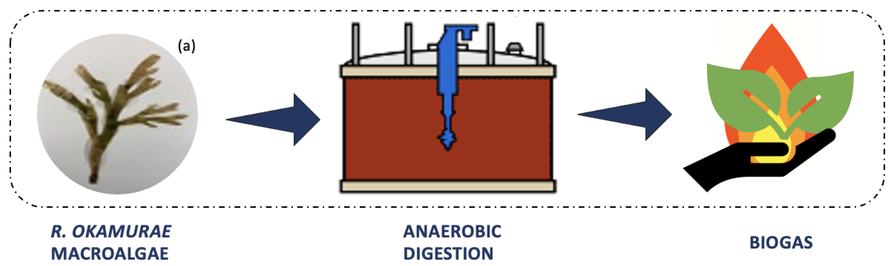 Marinedrugs 21 00040 g004