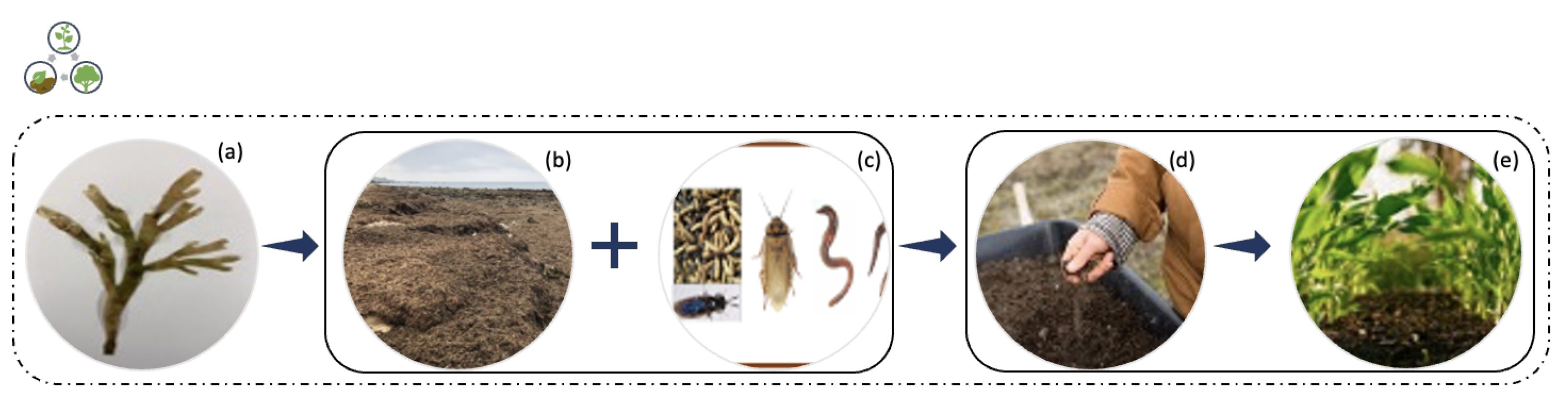 Marinedrugs 21 00040 g005