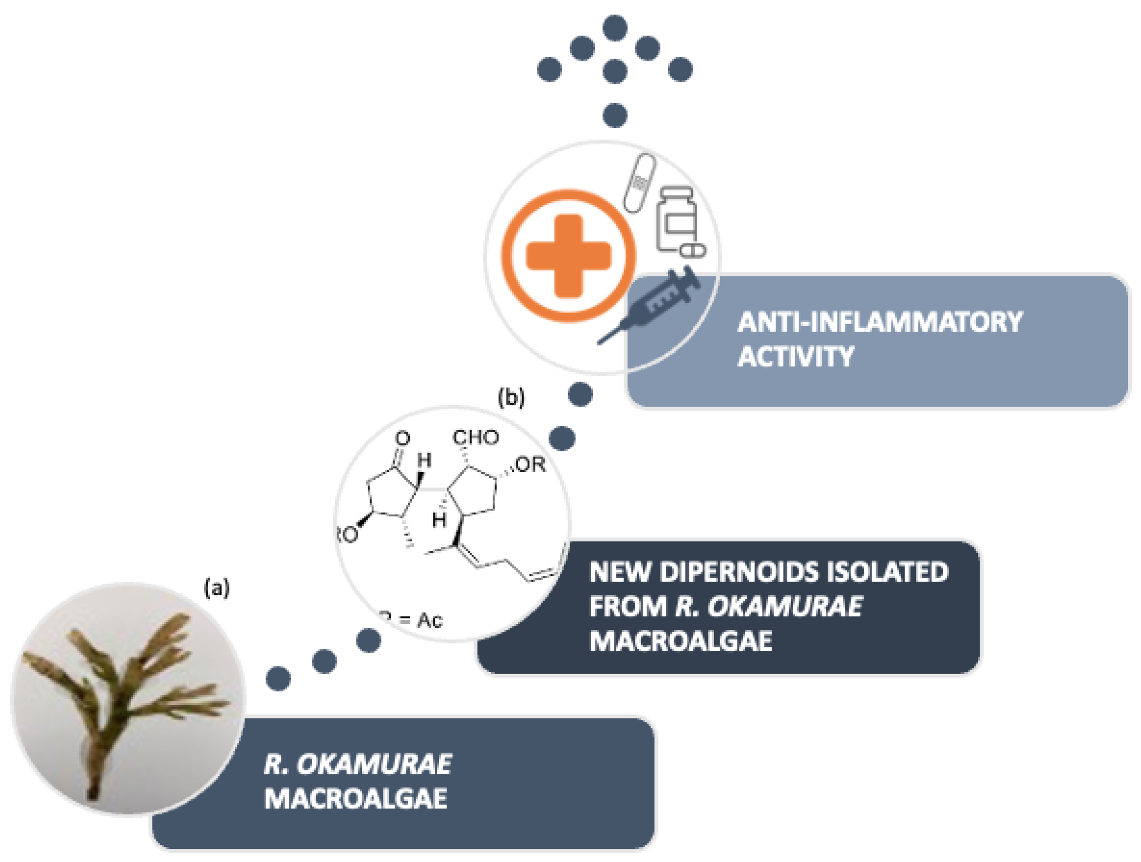 Marinedrugs 21 00040 g006