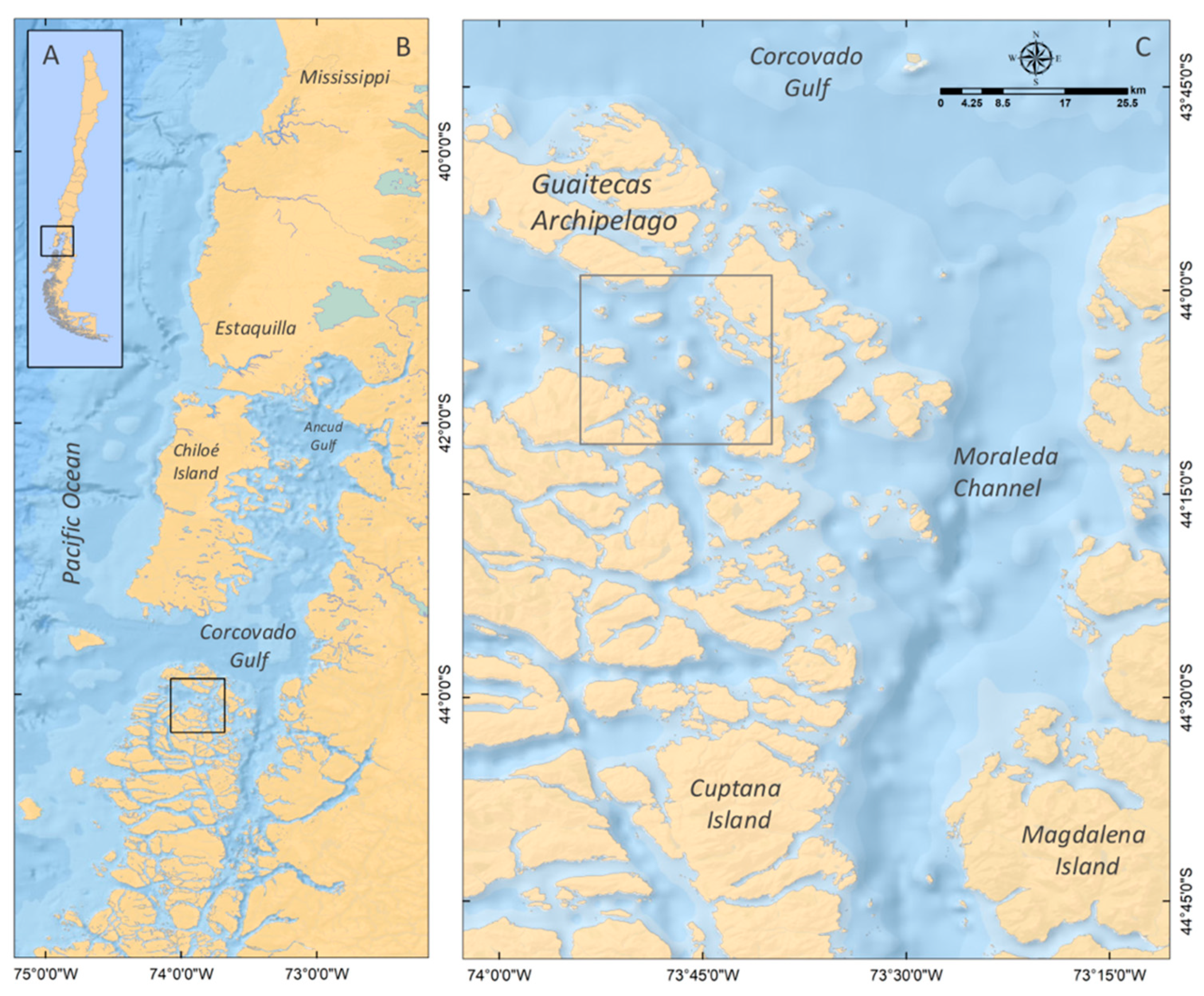 Marinedrugs 21 00044 g010