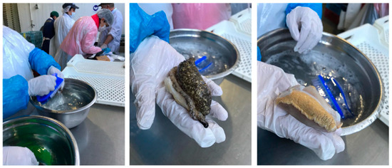 Marinedrugs 21 00044 g0a1