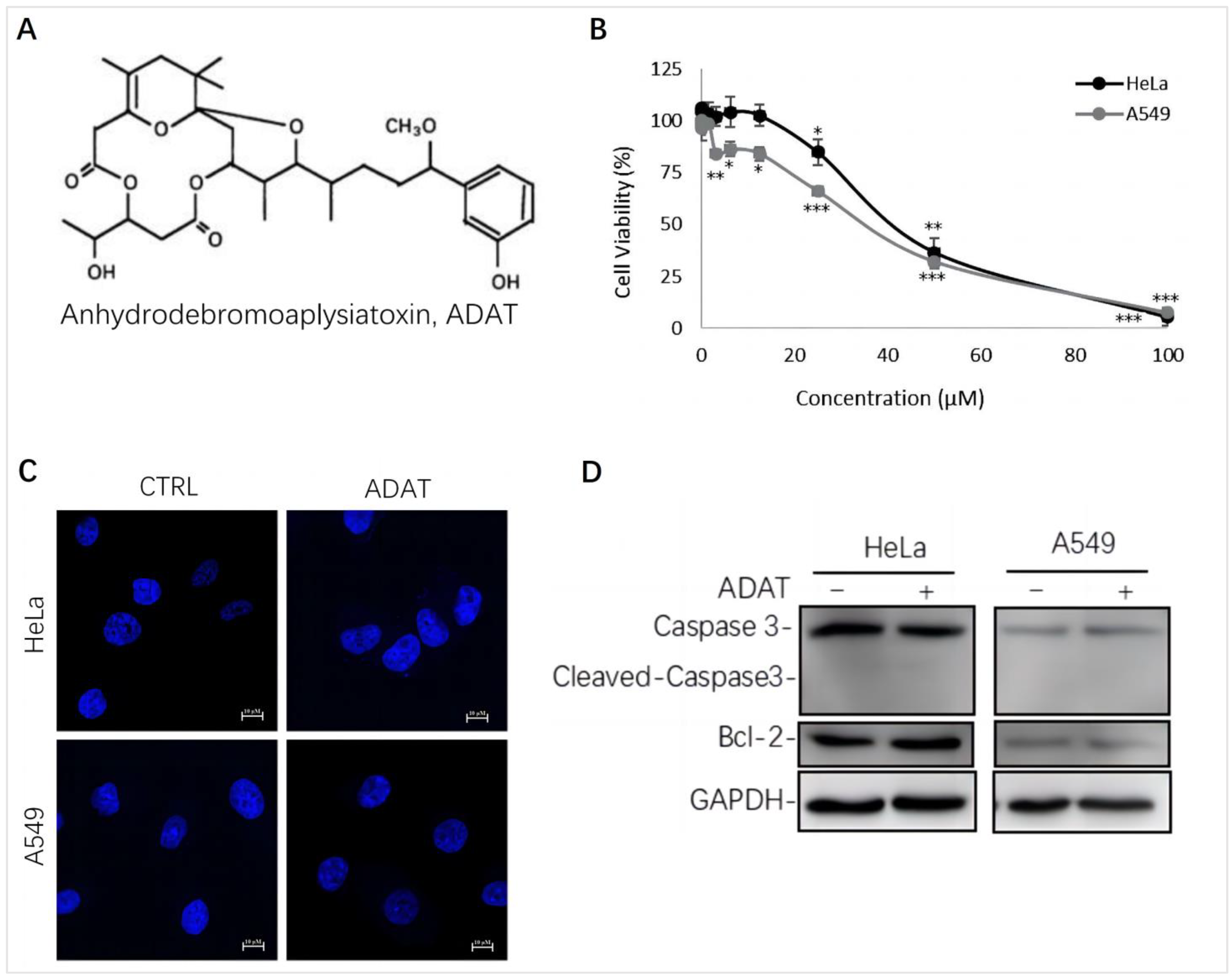 Marinedrugs 21 00046 g001