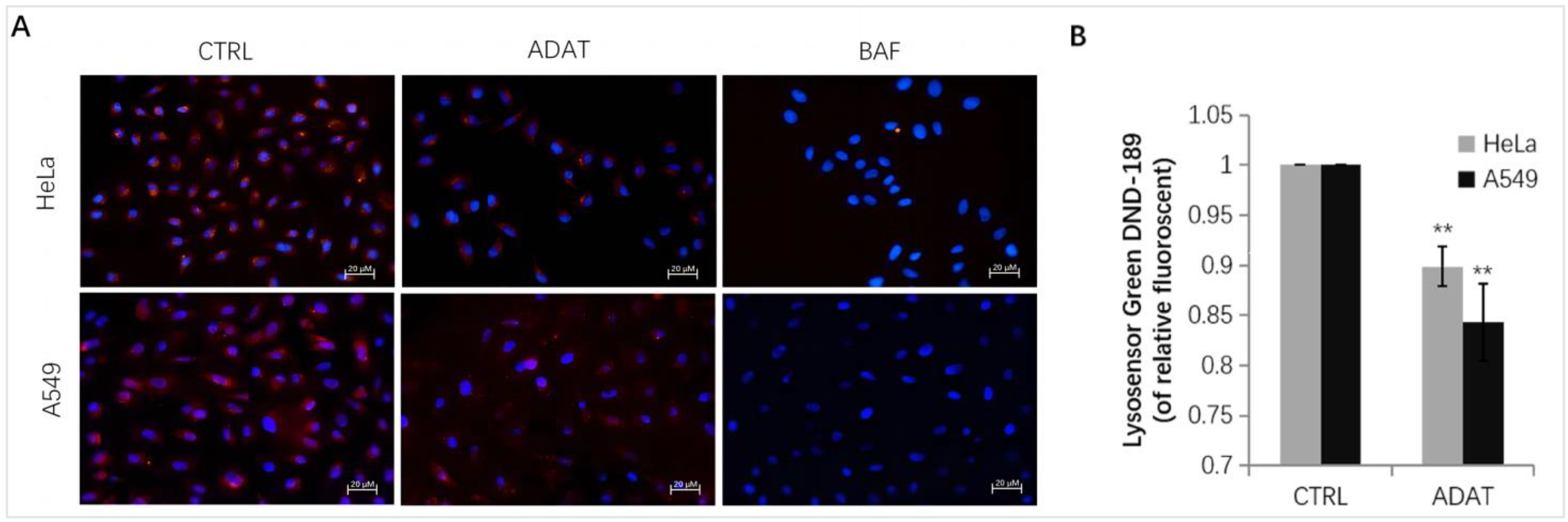 Marinedrugs 21 00046 g004