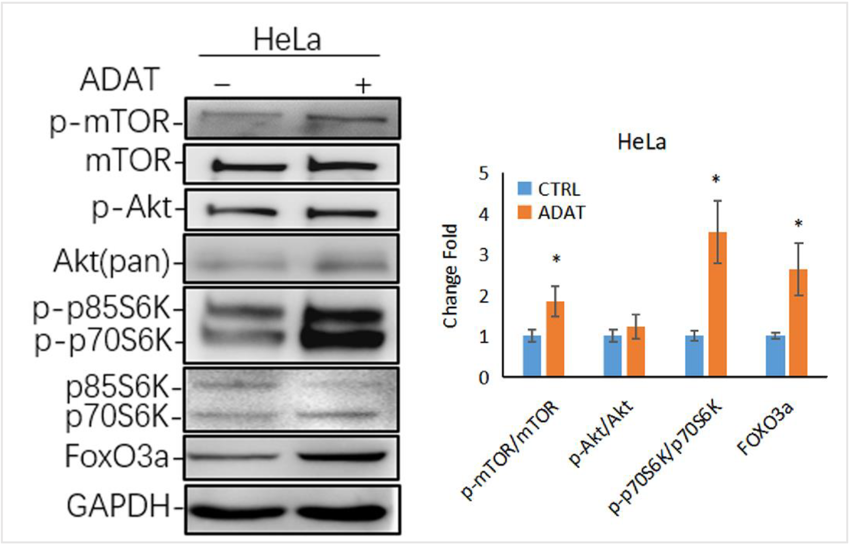 Marinedrugs 21 00046 g005