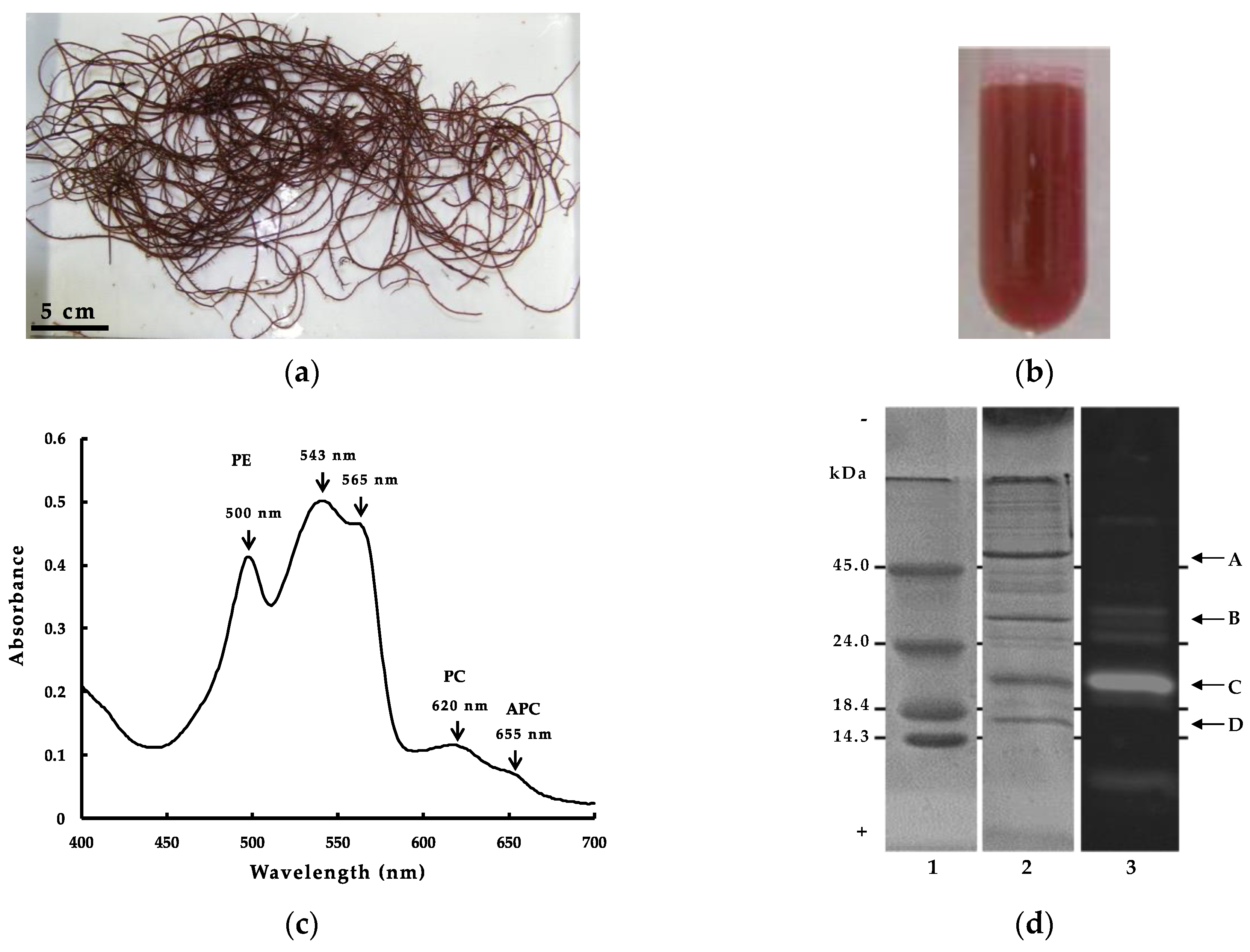 Marinedrugs 21 00049 g001