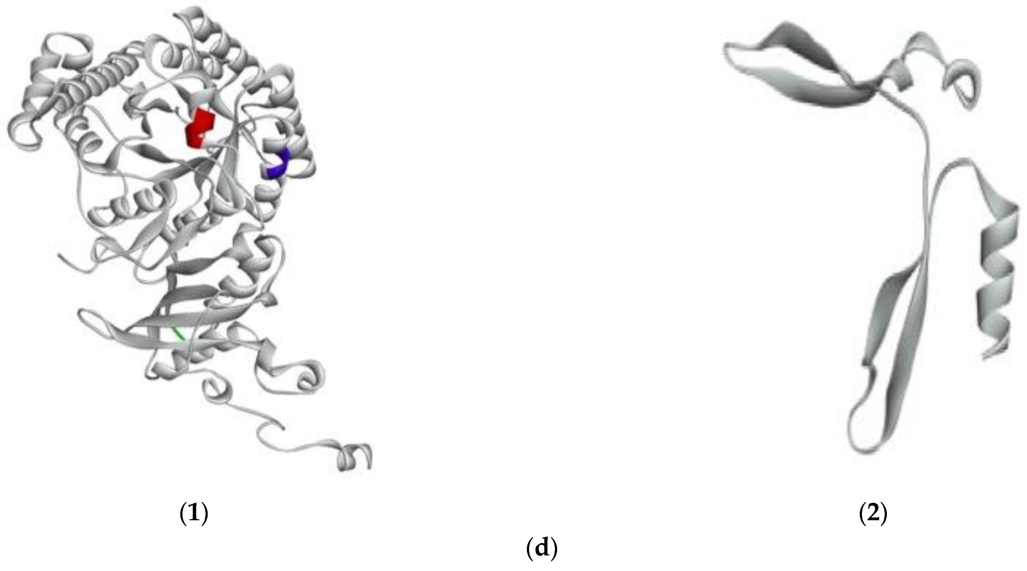 Marinedrugs 21 00049 g004b