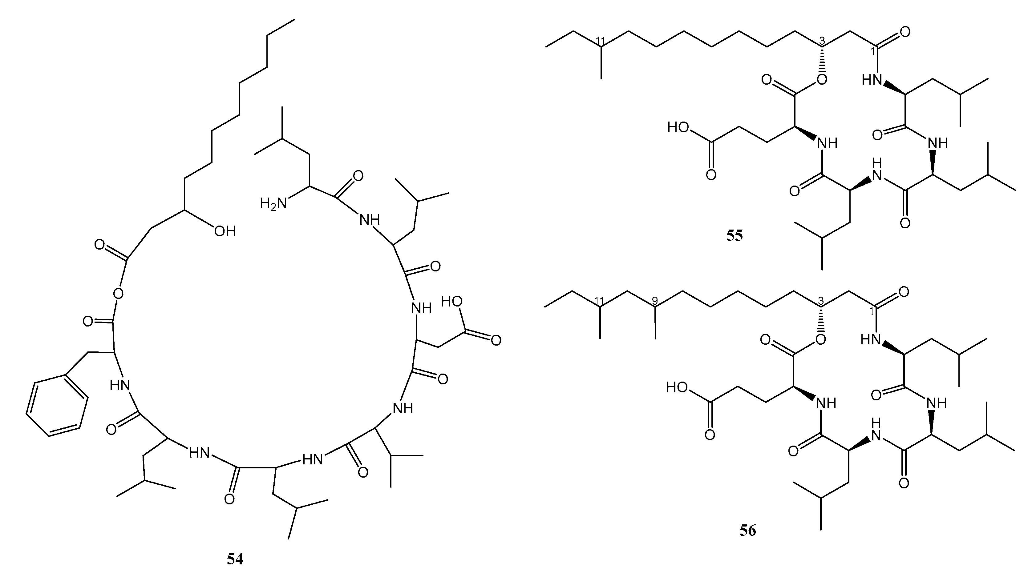 Marinedrugs 21 00050 g007