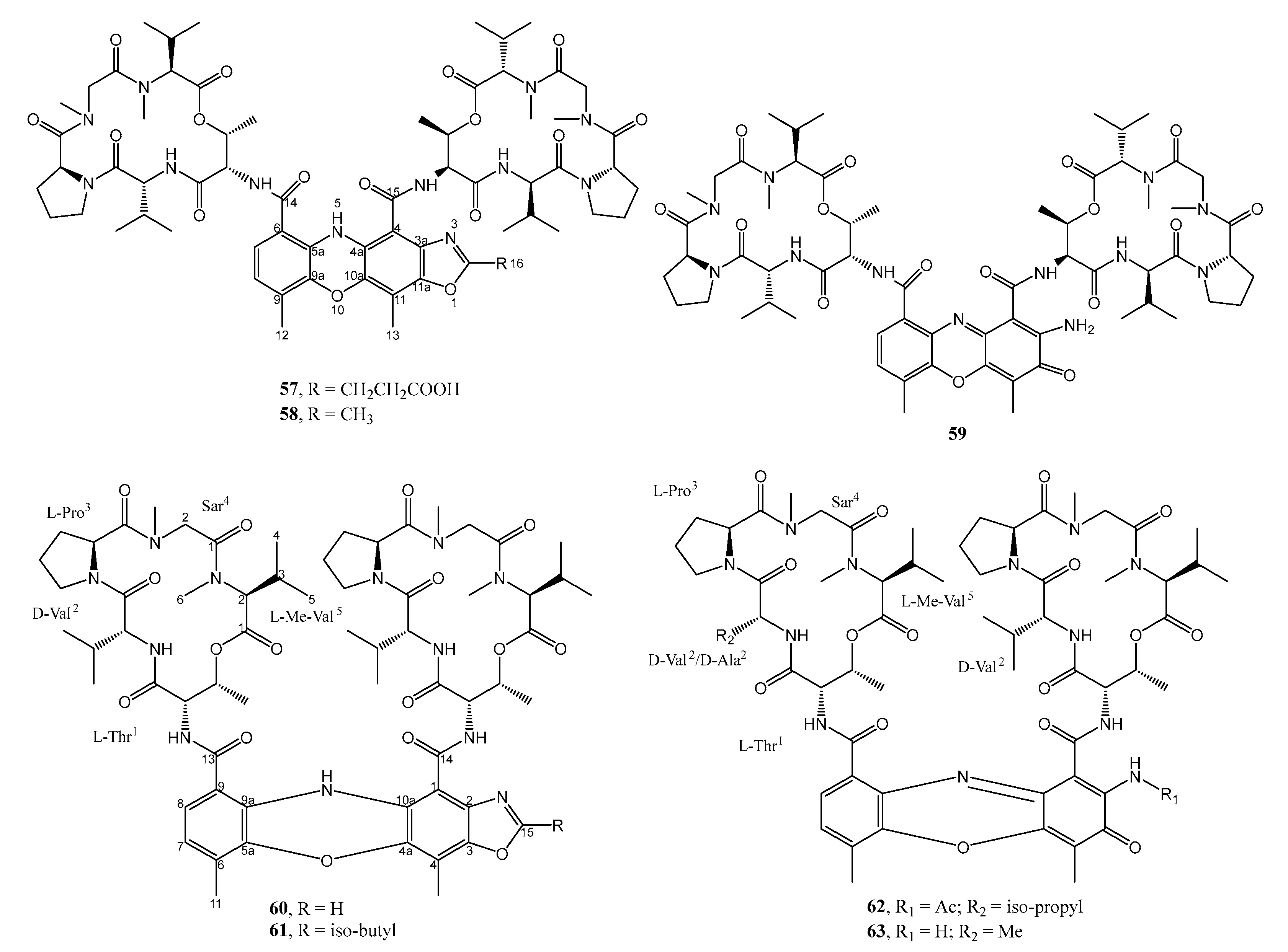 Marinedrugs 21 00050 g008