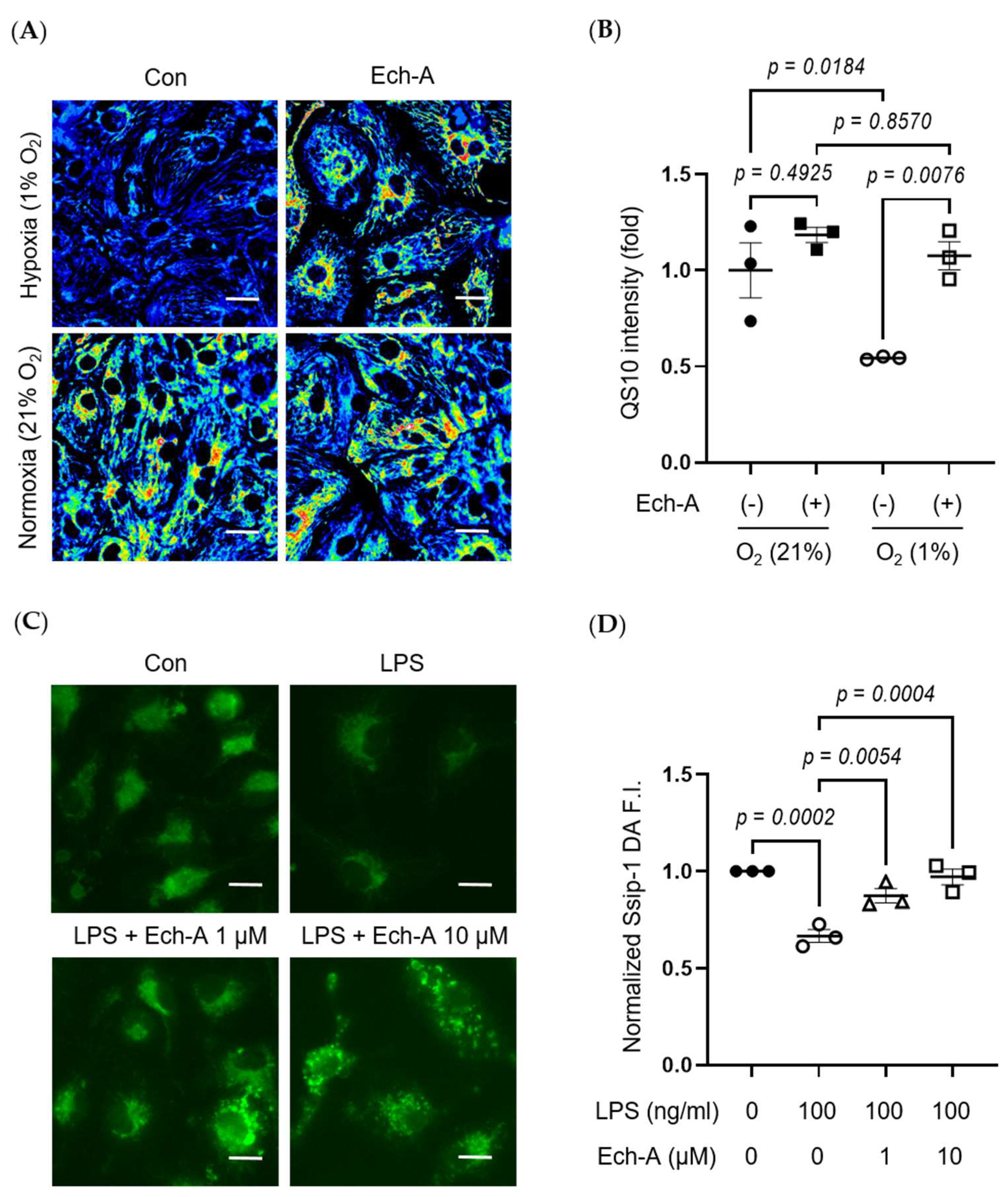 Marinedrugs 21 00052 g005