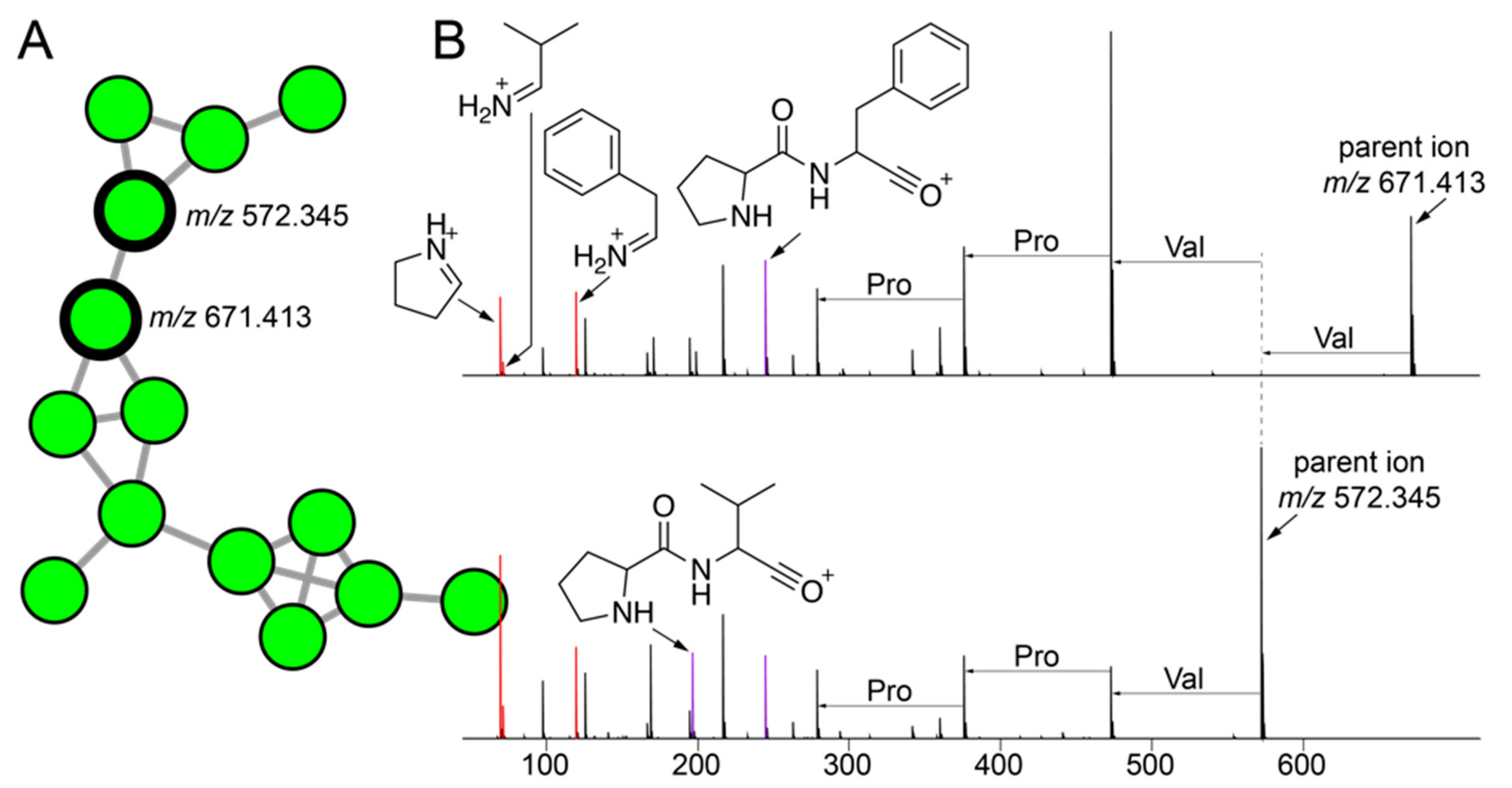 Marinedrugs 21 00053 g005